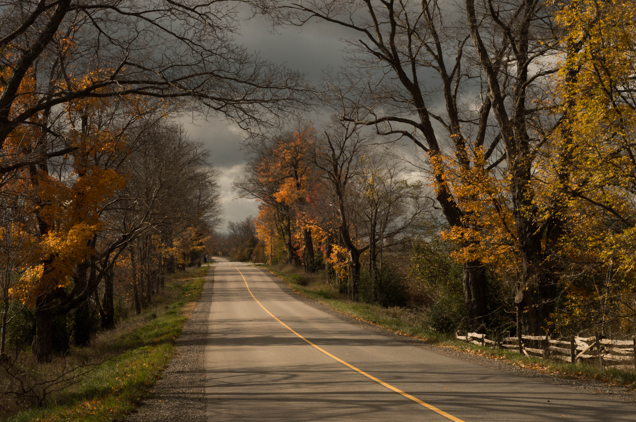 Nikon D3200 + Nikon AF Nikkor 50mm F1.8D sample photo. Fall color of photography