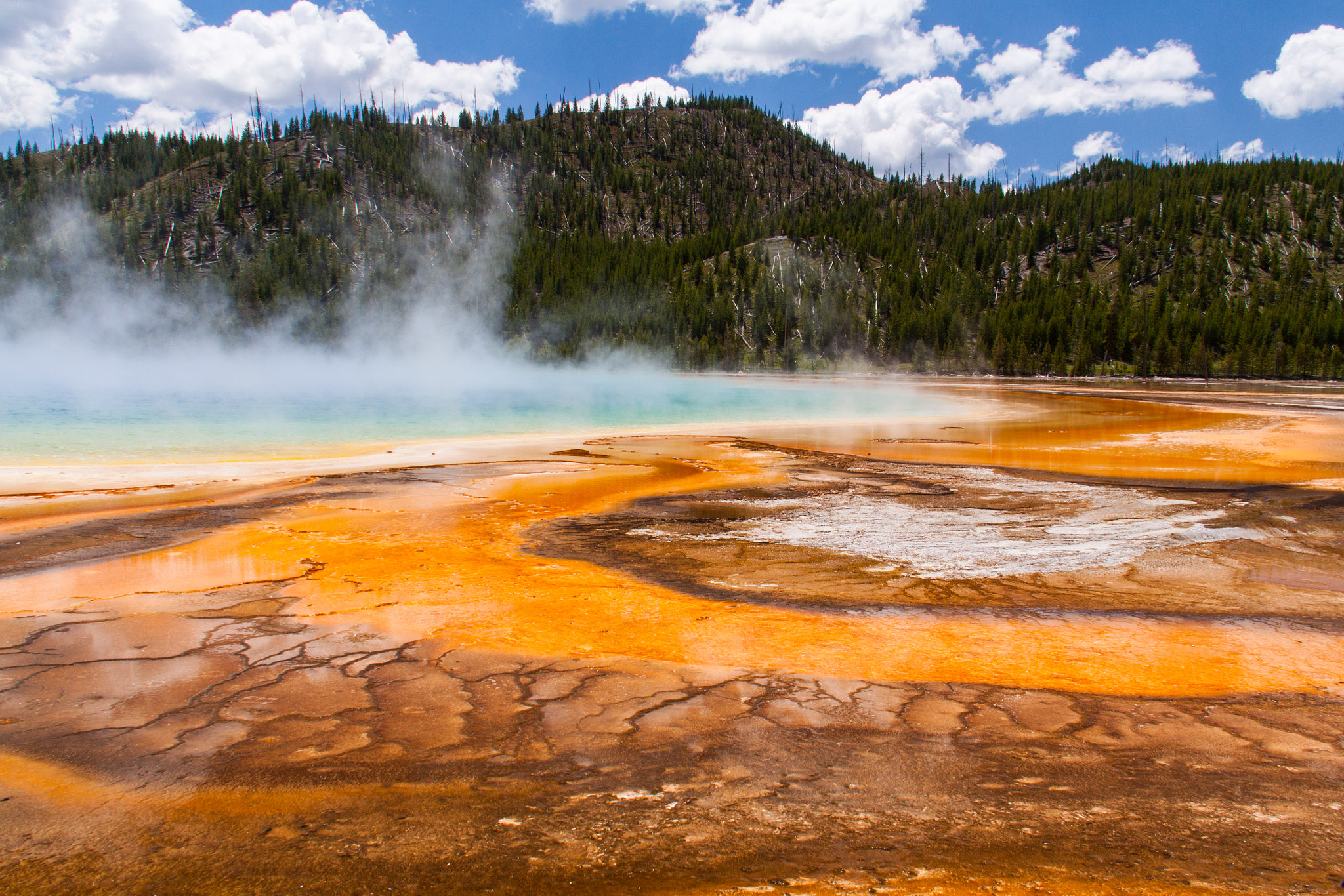 Canon EOS 50D sample photo. Yellowstone photography