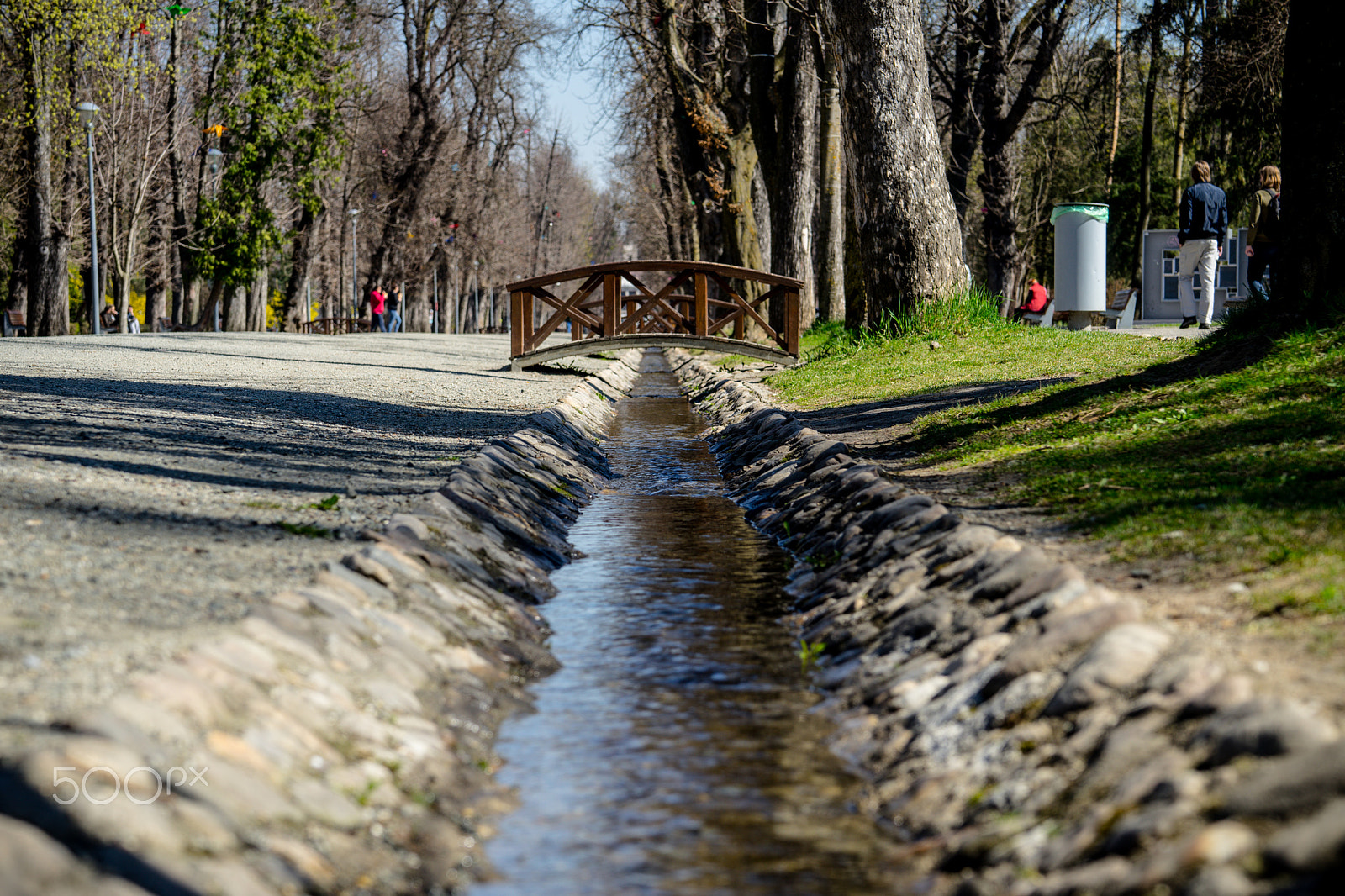 Sony a7 sample photo. Spring is here photography