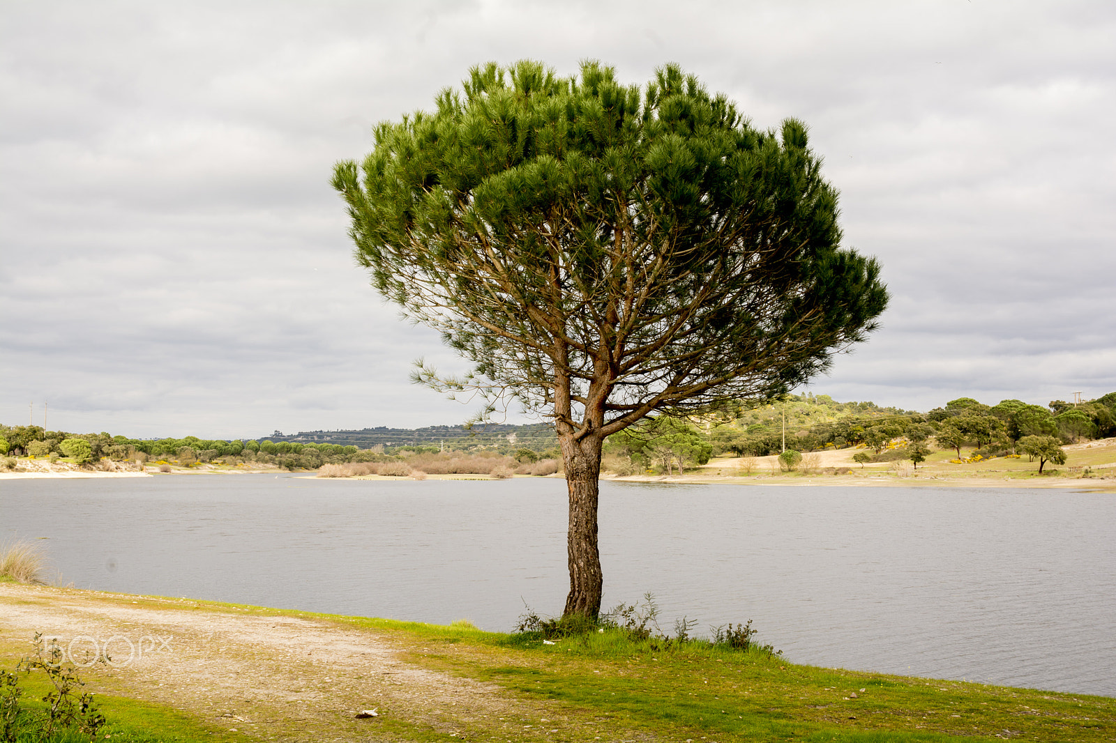 Nikon D7100 + Sigma 30mm F1.4 EX DC HSM sample photo. Winter time in portugal photography