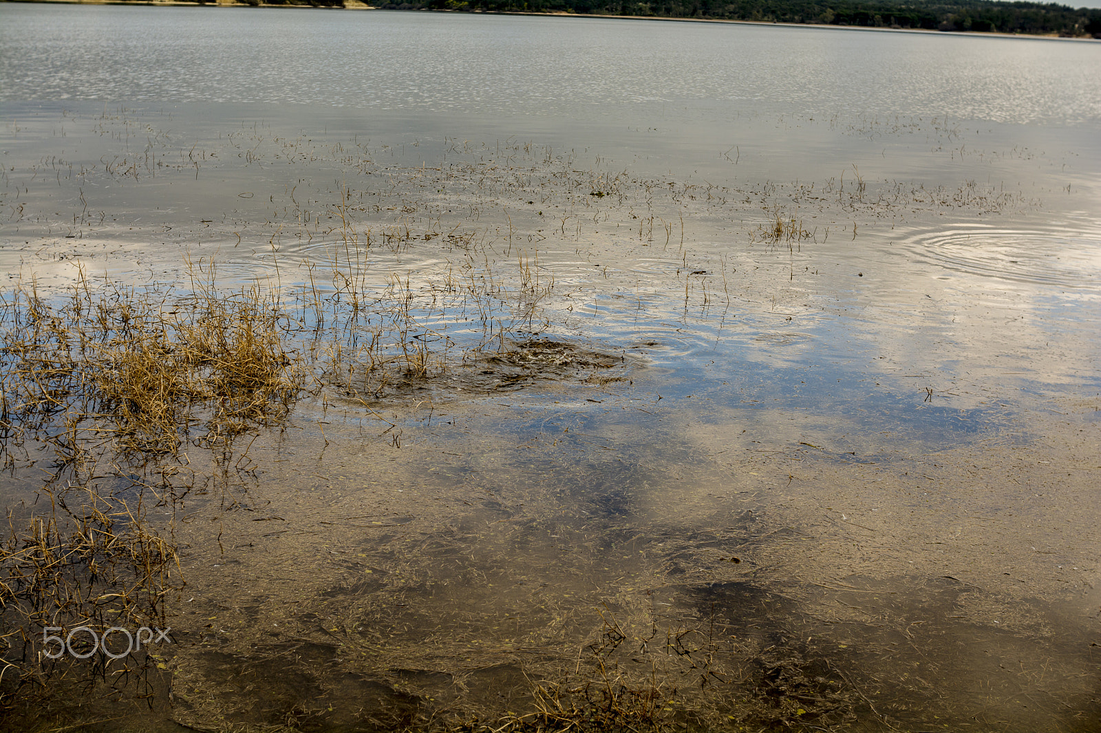 Nikon D7100 + Sigma 30mm F1.4 EX DC HSM sample photo. Winter time in portugal photography