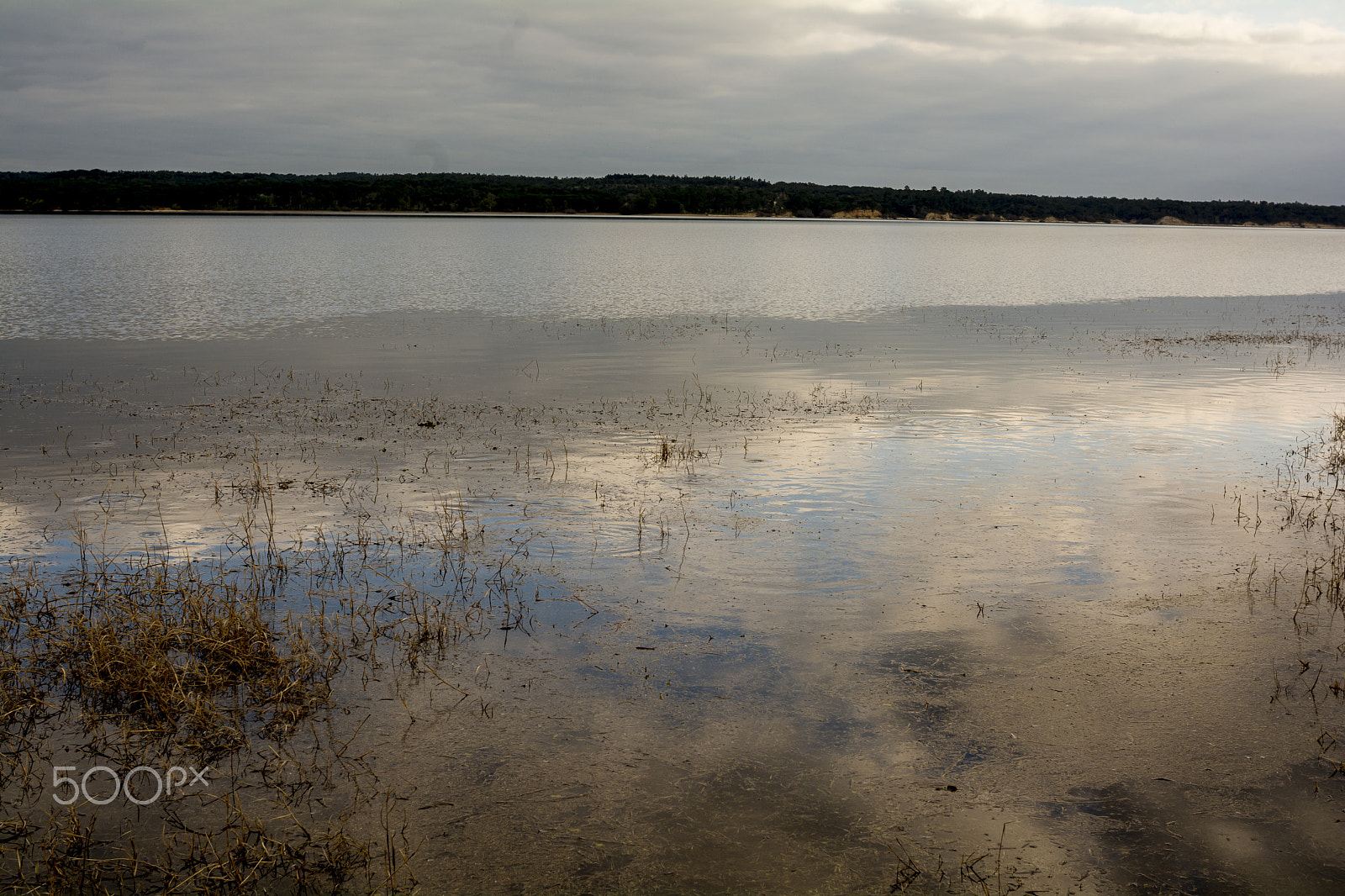 Nikon D7100 sample photo. Winter time in portugal photography