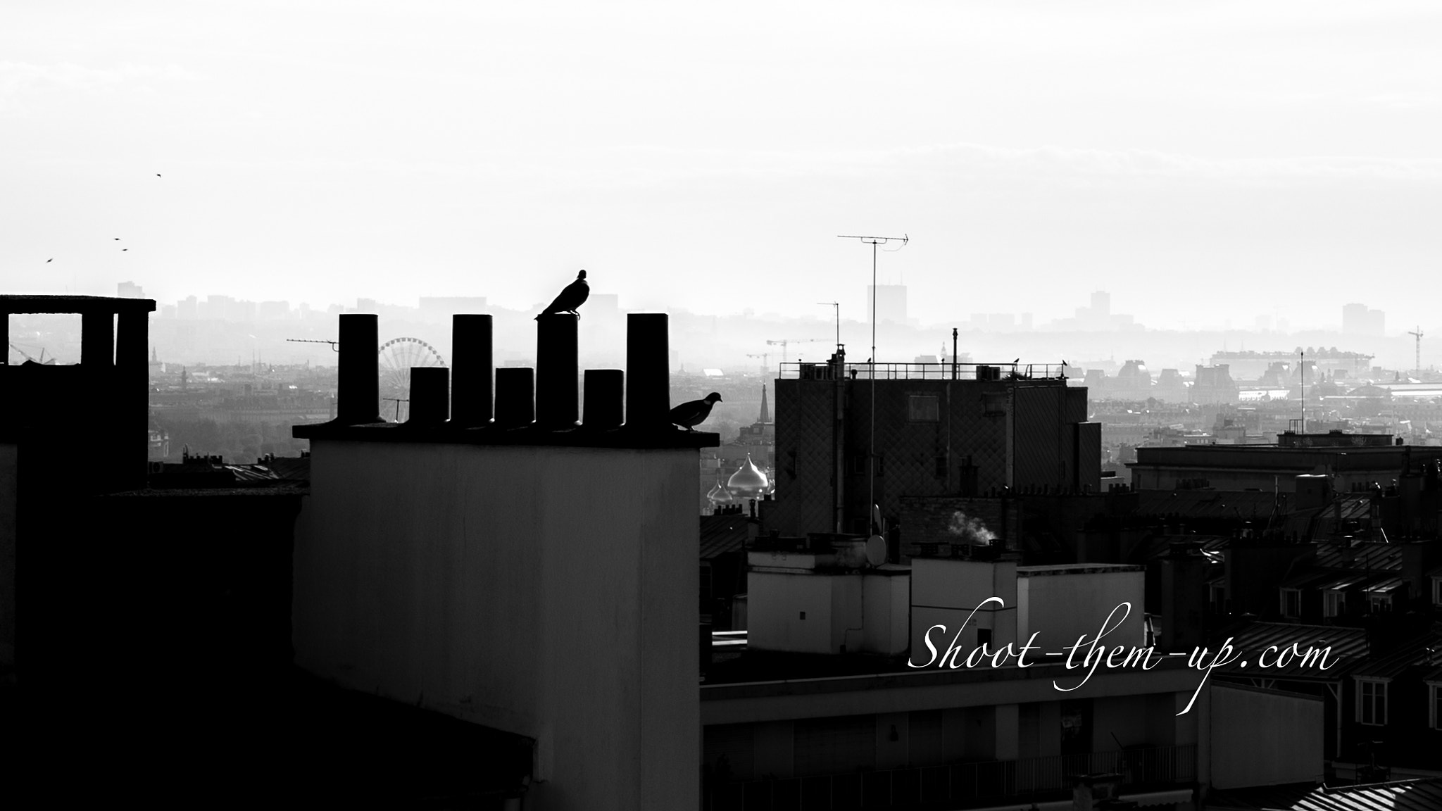Nikon D4S sample photo. Paris from the heights photography