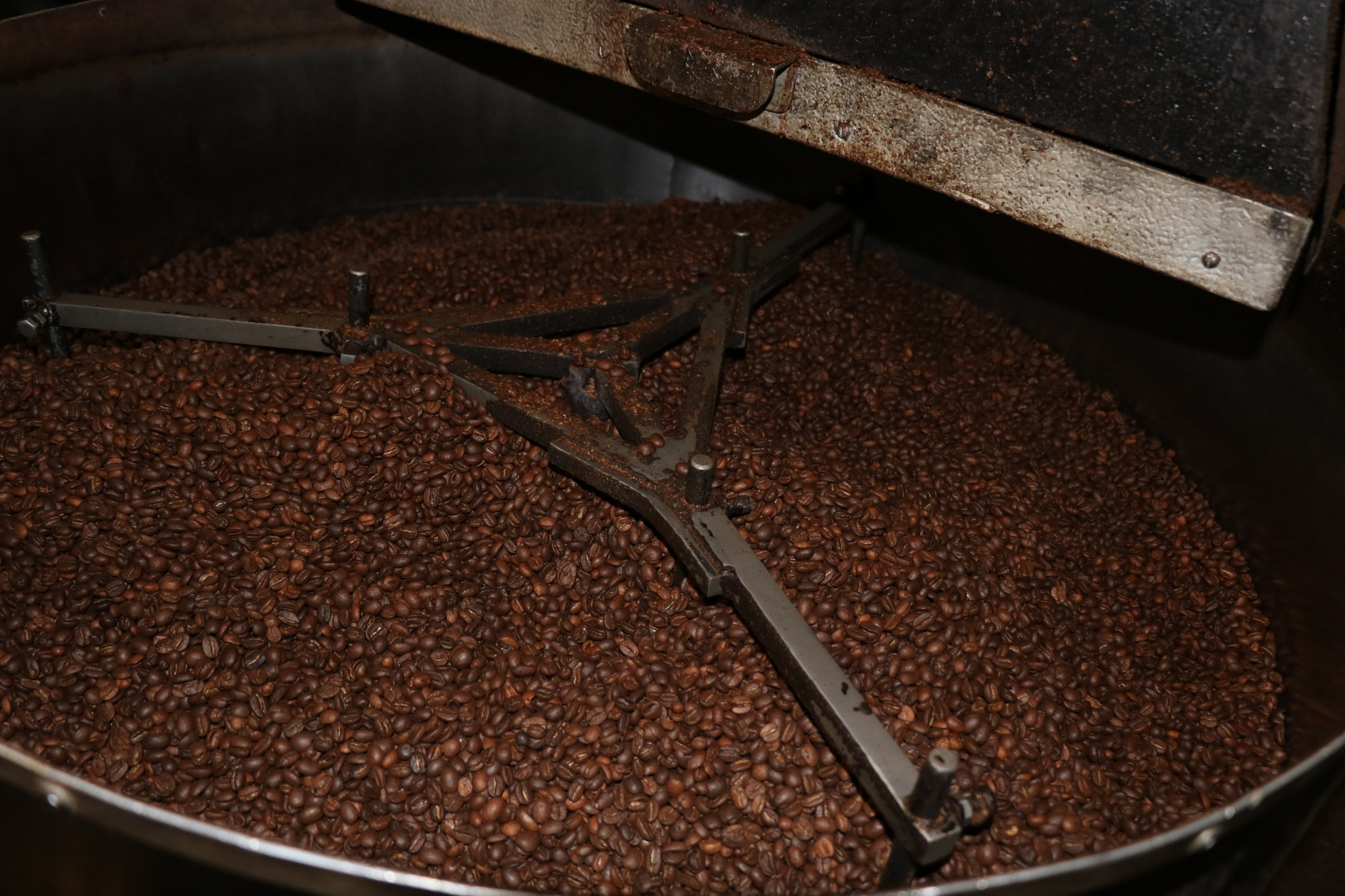 Canon EOS 750D (EOS Rebel T6i / EOS Kiss X8i) sample photo. Coffee photography