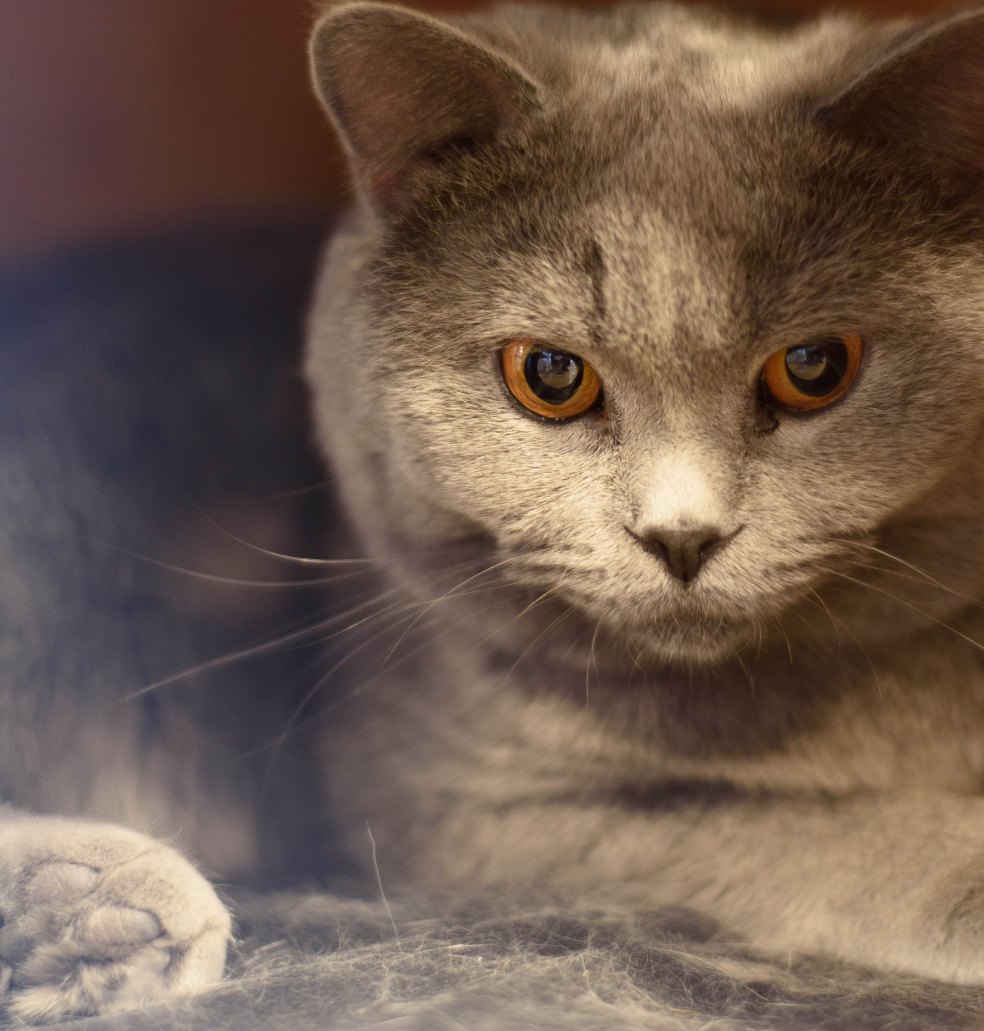 Nikon D750 + Nikon AF Nikkor 50mm F1.8D sample photo