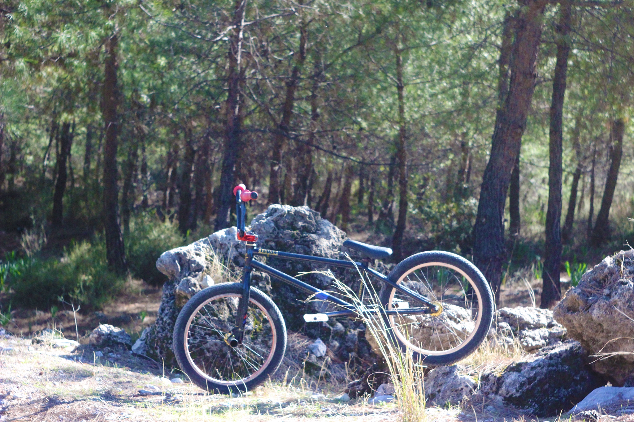 Canon EF 35-80mm f/4-5.6 sample photo. Bmx photography
