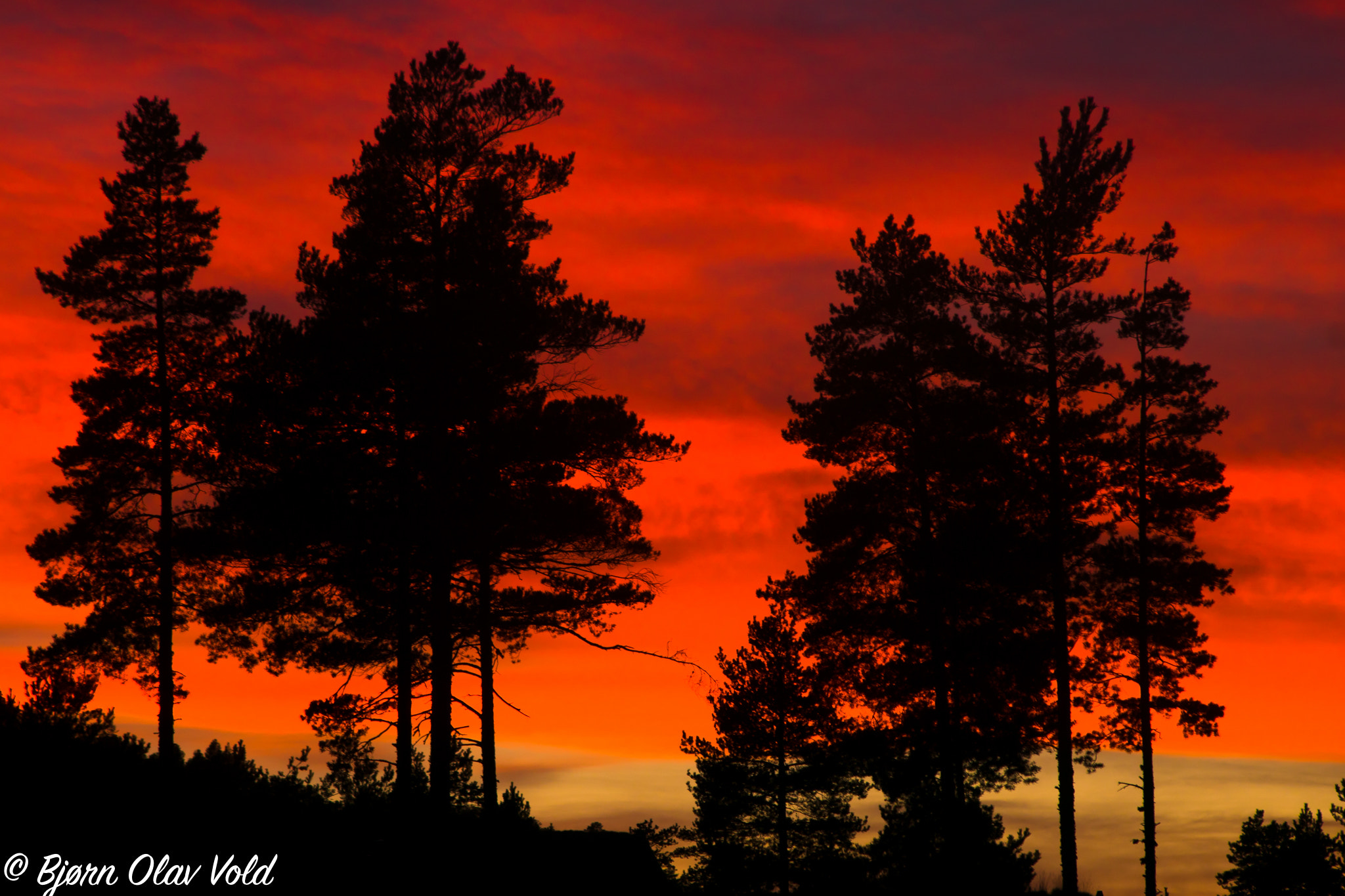 Sony ILCA-77M2 + Sigma 70-300mm F4-5.6 DL Macro sample photo. Solnedgang (of ) photography