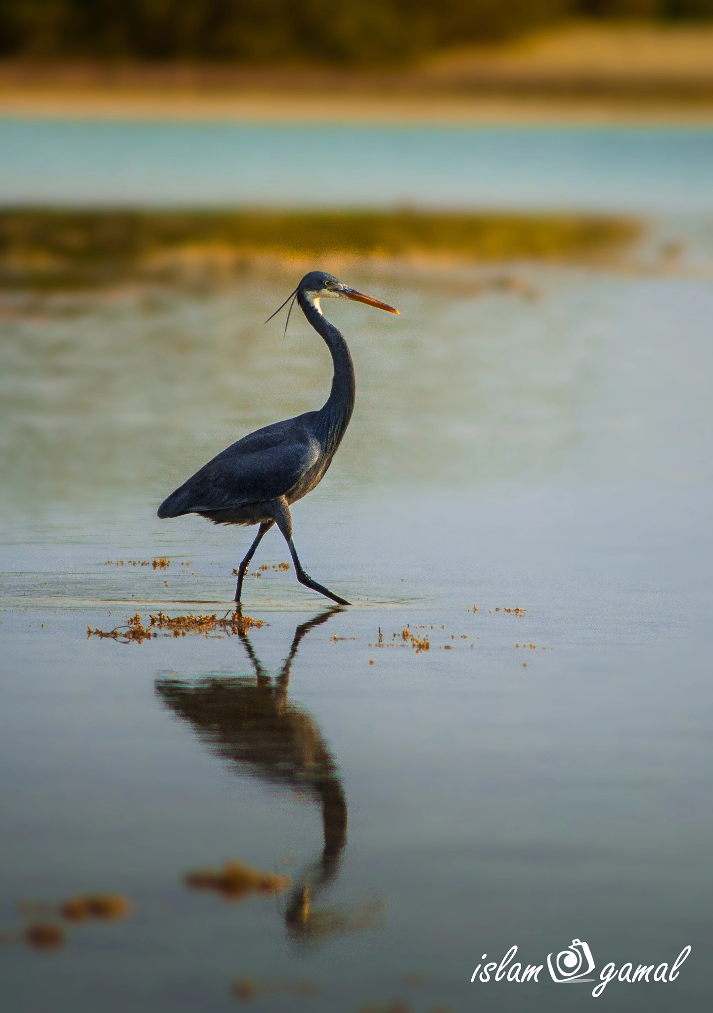 Nikon D5000 sample photo. Reflection photography
