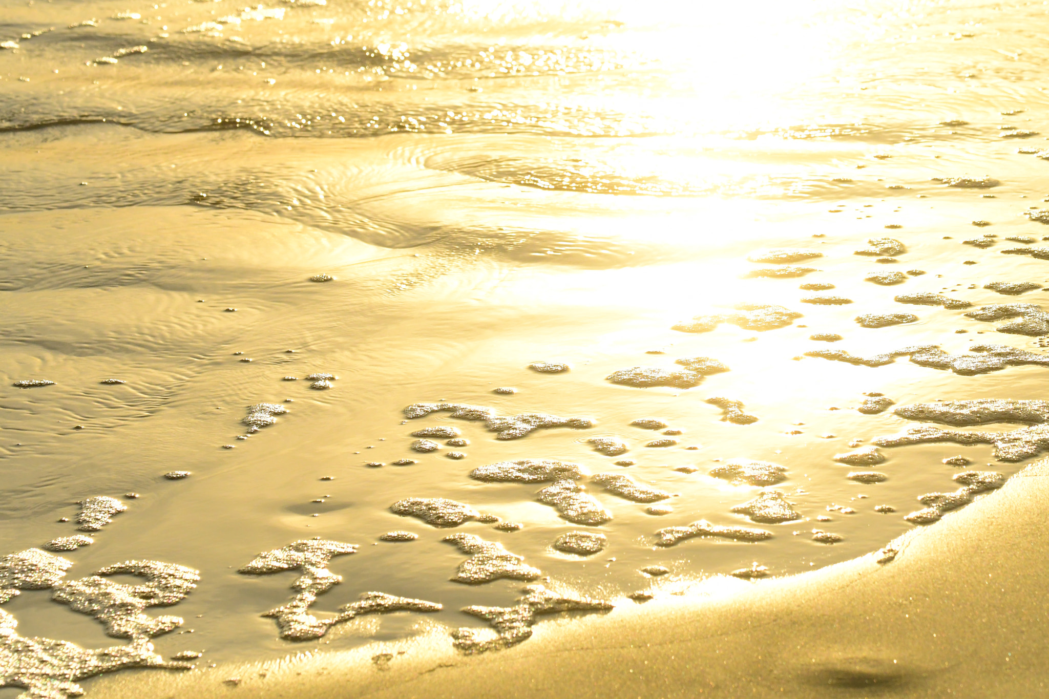 Nikon D500 sample photo. Golden elemental photography