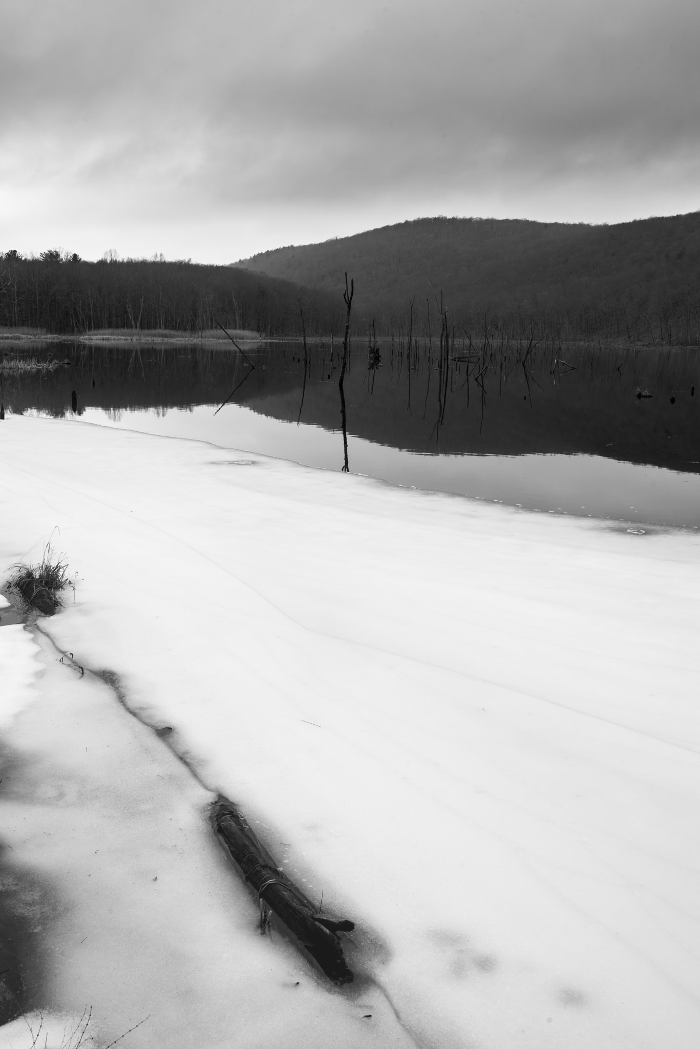 Pentax K-1 + Sigma 35mm F1.4 DG HSM Art sample photo. Last of the ice, bennett's pond photography