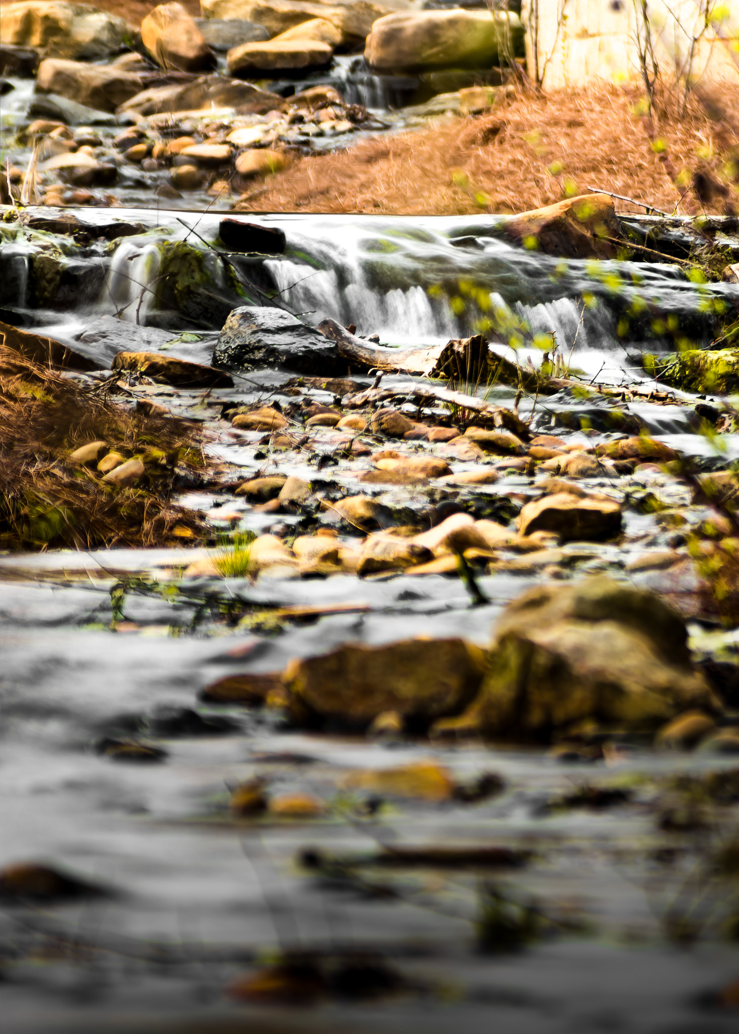 Sigma 70-300mm F4-5.6 DG Macro sample photo. Long exposure 2 photography