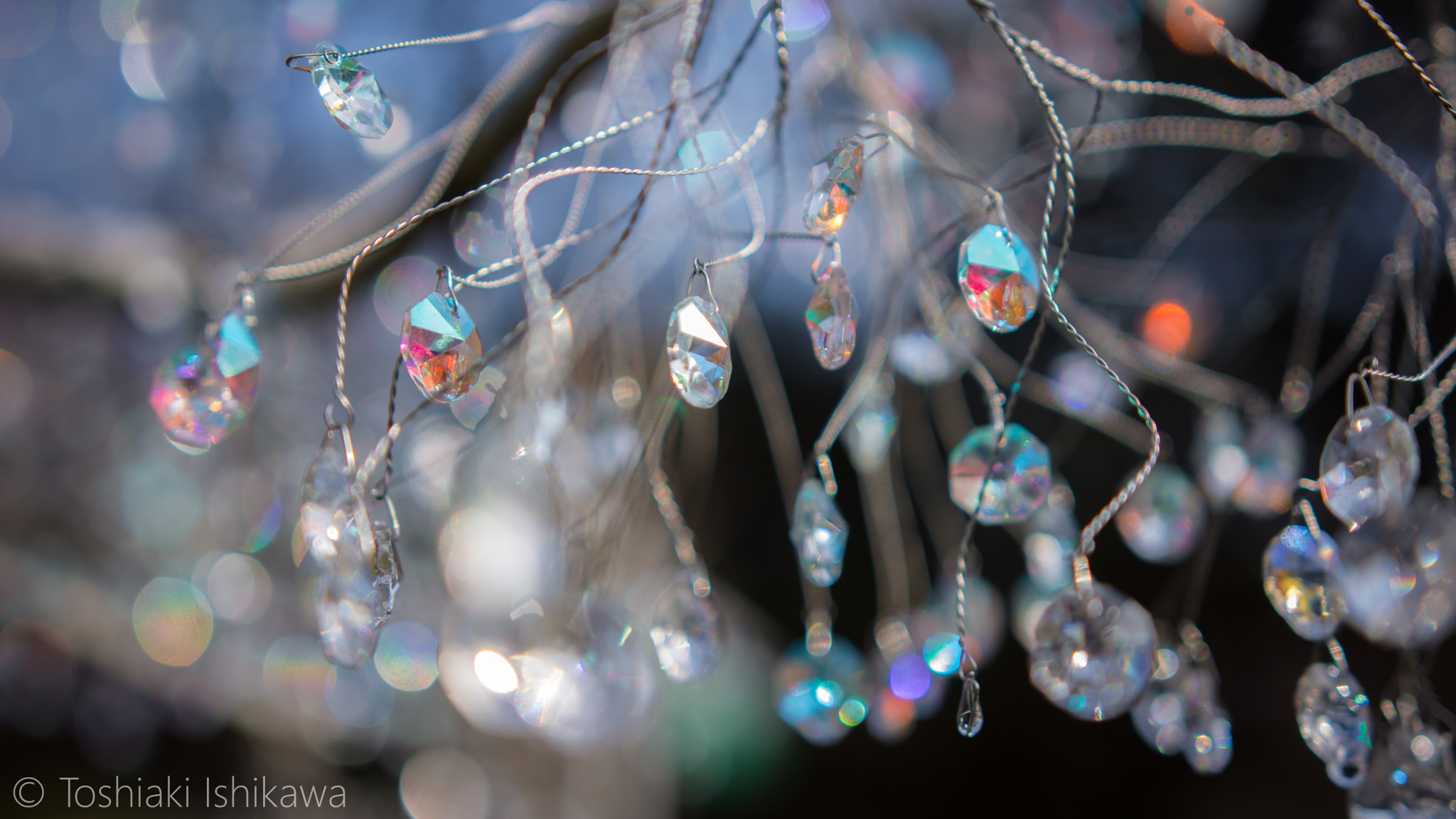 Nikon D7100 sample photo. Glass tree photography