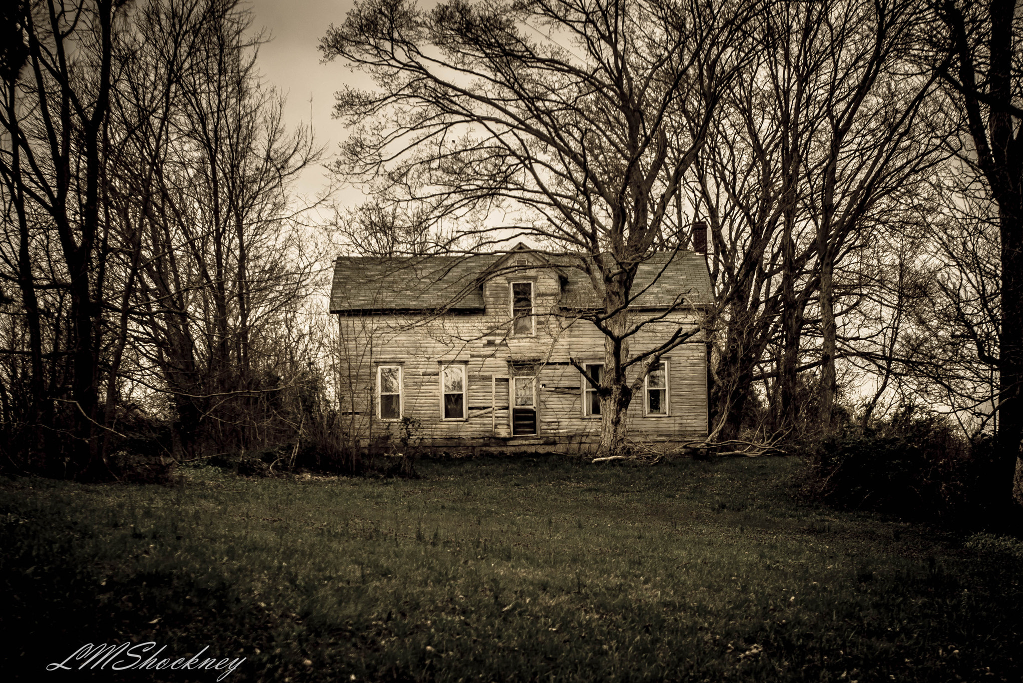 Nikon D610 sample photo. Backroads southern indiana photography