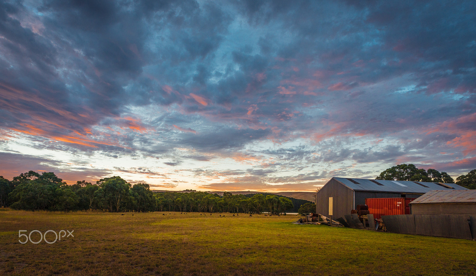 Nikon D800 + Tamron SP 24-70mm F2.8 Di VC USD sample photo. Australian rural landscape countryside farm at sunset in myponga photography