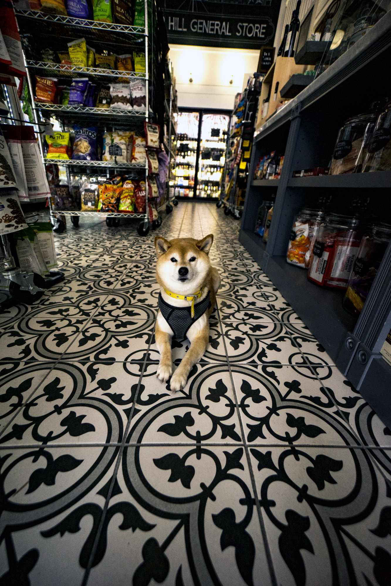Sony E 10-18mm F4 OSS sample photo. Royal photography