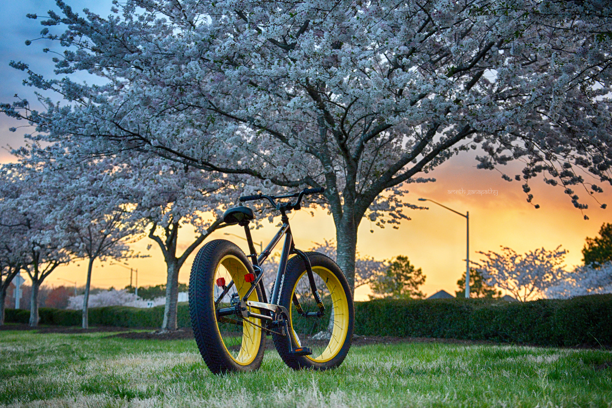 Nikon D610 sample photo. Spring means bikes are out photography