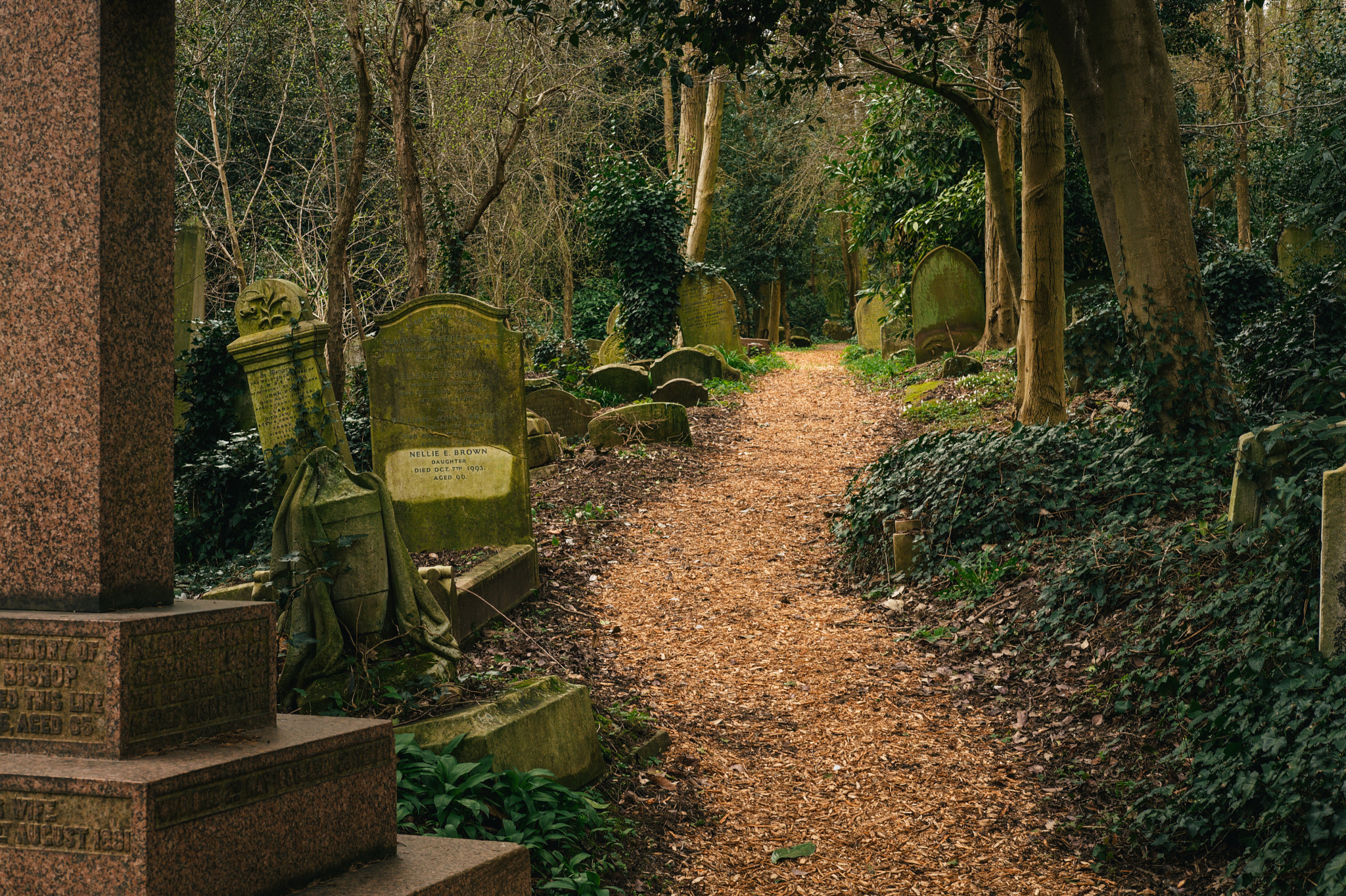 Fujifilm X-Pro2 + Fujifilm XF 35mm F2 R WR sample photo. Highgate cemetary photography