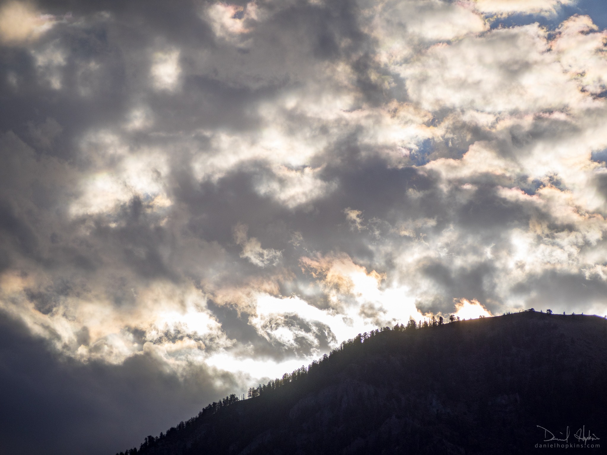 Olympus OM-D E-M1 sample photo. Make it a great day photography