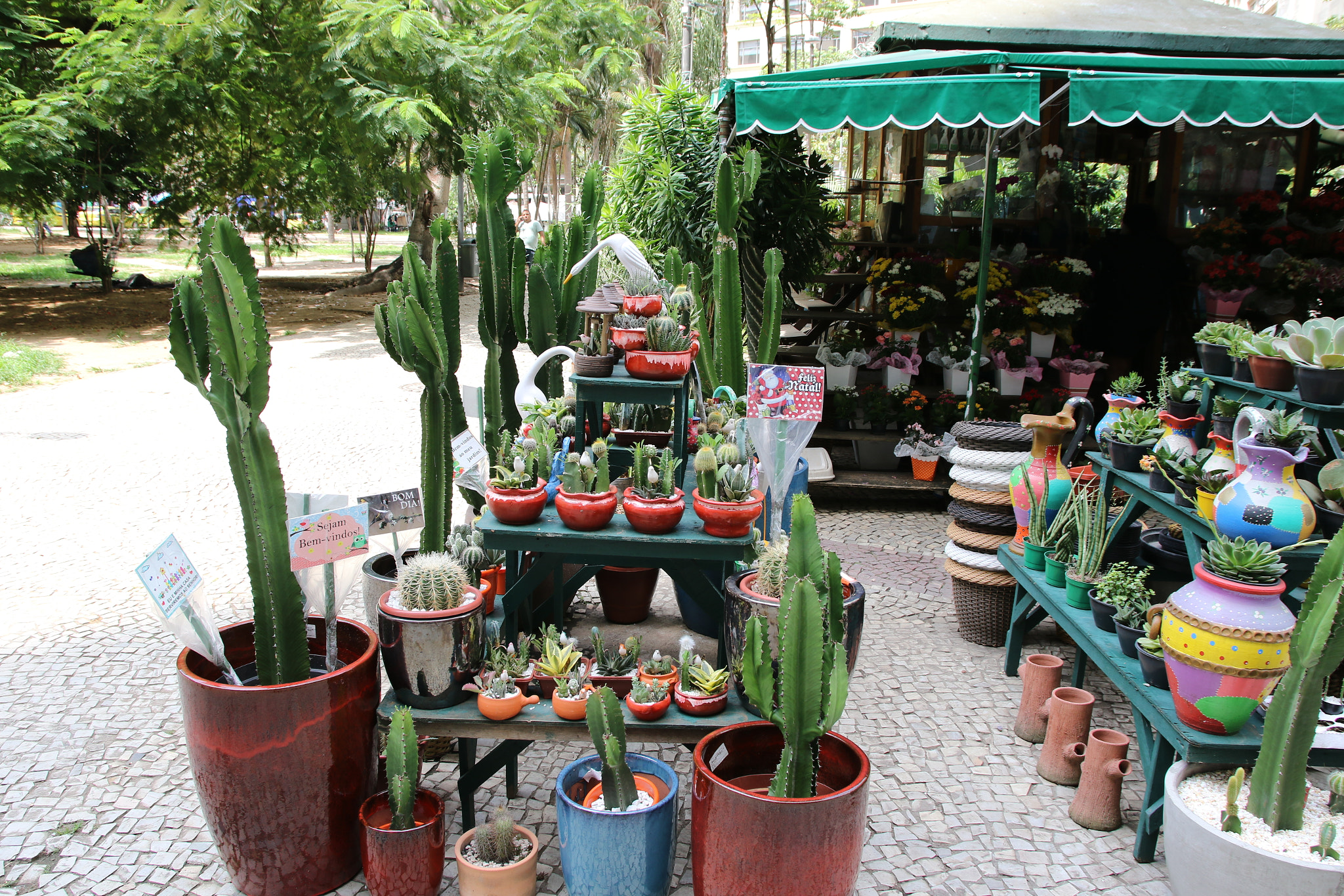 Canon EOS 7D Mark II + Sigma 17-70mm F2.8-4 DC Macro OS HSM sample photo. Flowers to buy..... center /rio de janeiro /brasil  photography