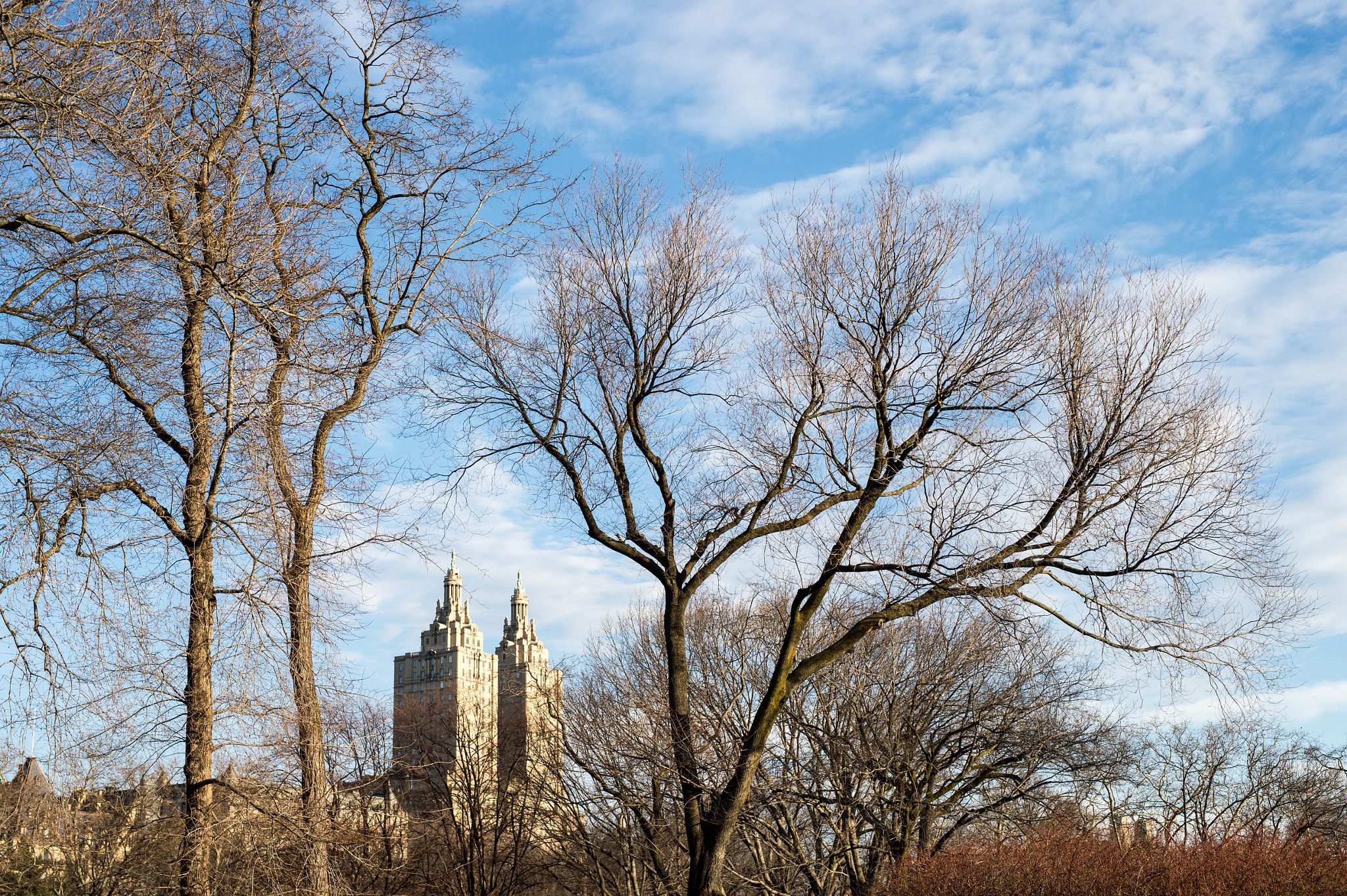 Nikon D4S sample photo. Central park mornings photography