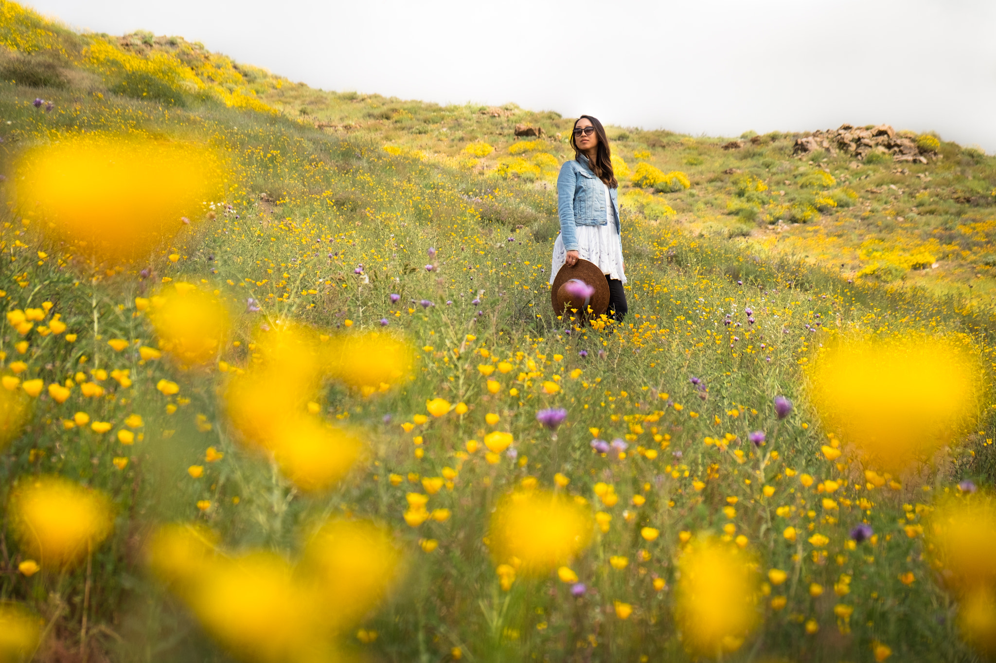Fujifilm X-E2S + Fujifilm XF 18-55mm F2.8-4 R LM OIS sample photo. Superbloom in walker canyon (lake elsinore, ca) photography