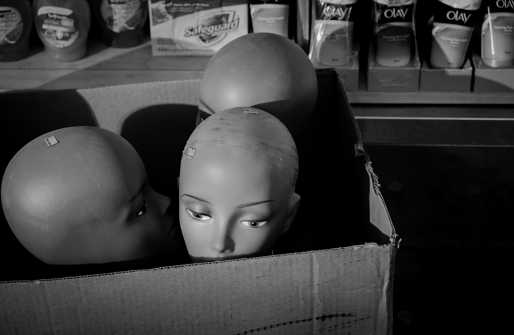 Fujifilm X-T1 sample photo. Three bald women in a cardboard box photography