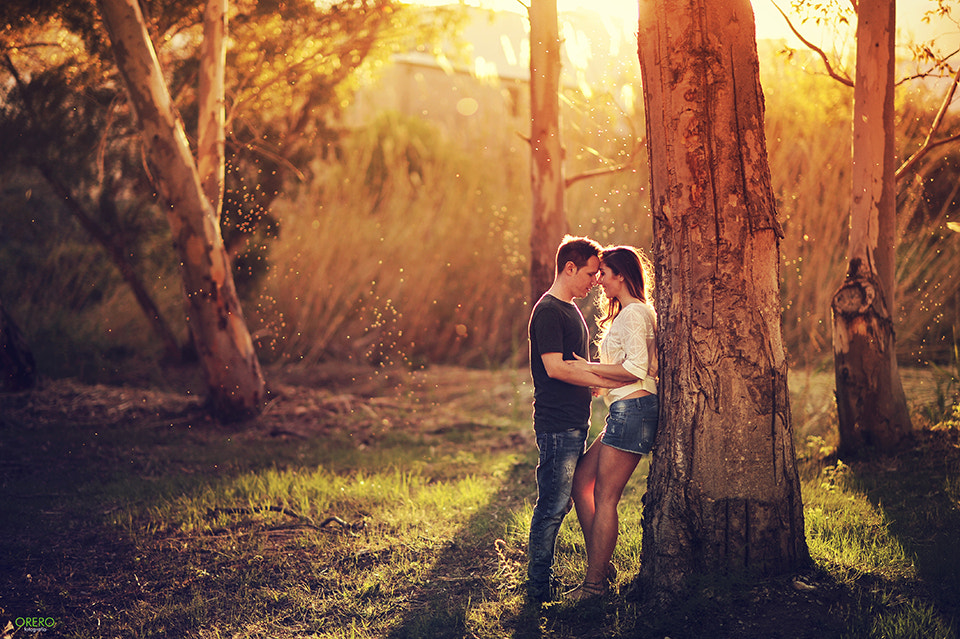 Nikon D3S sample photo. Engagement light photography