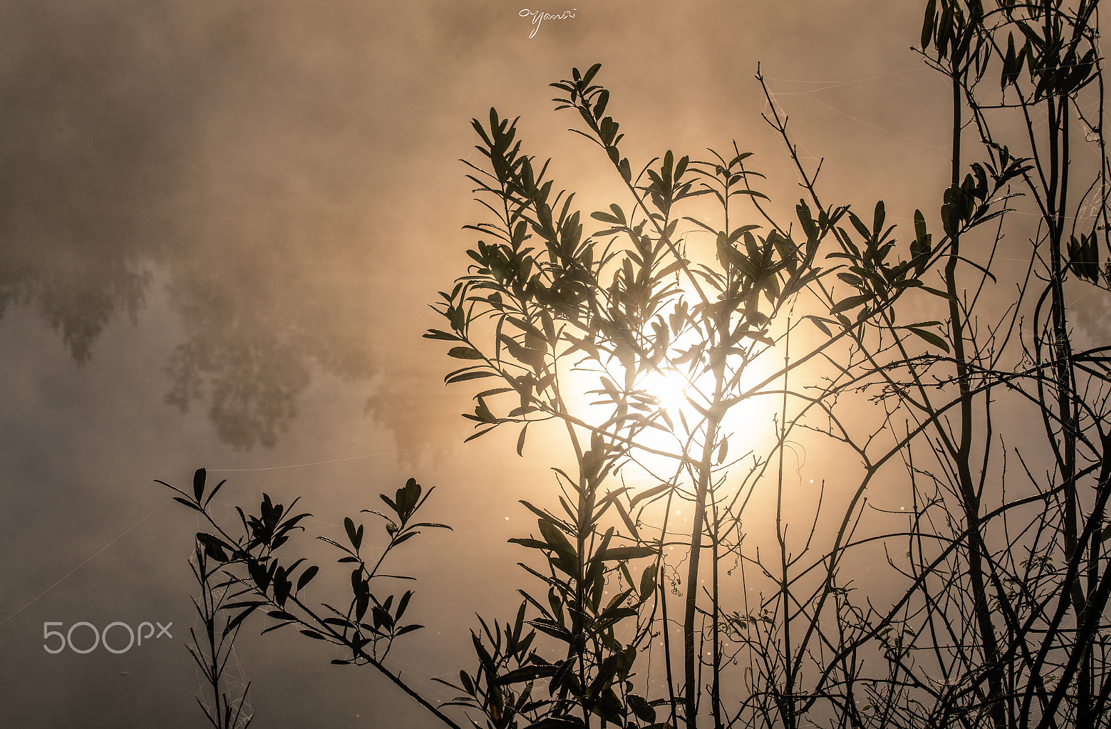 Canon EOS 6D + Canon EF 70-200mm F4L IS USM sample photo. Sunrise photography