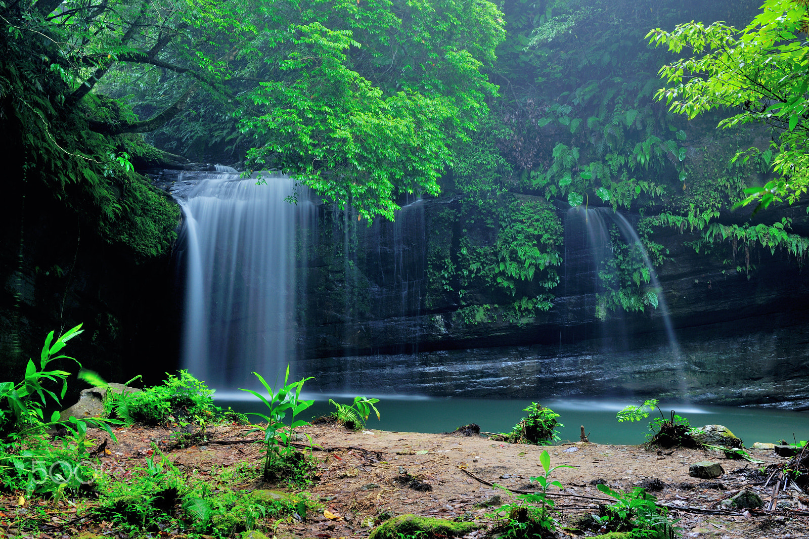 Nikon D3X sample photo. 溪流,瀑布,清涼,涼爽,清爽,溪谷 photography
