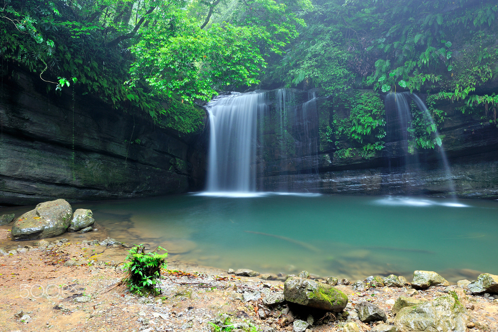 Nikon D3X sample photo. 溪流,瀑布,清涼,涼爽,清爽,溪谷 photography