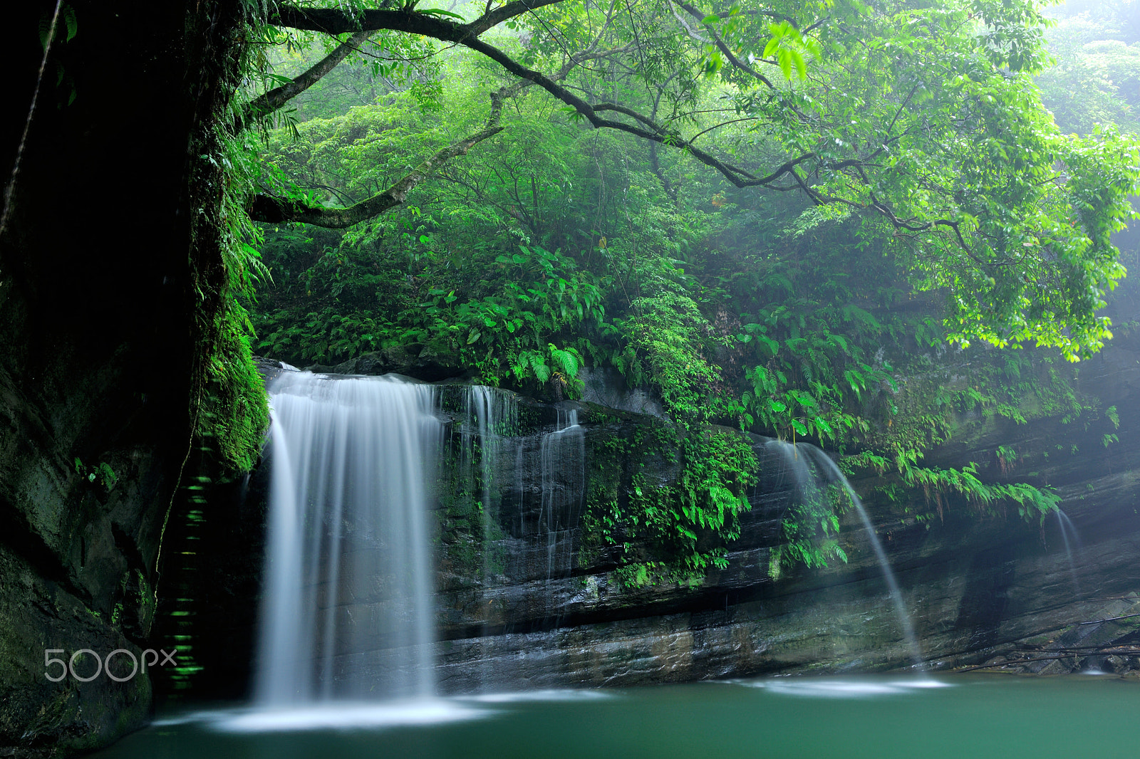 Nikon D3X sample photo. 溪流,瀑布,清涼,涼爽,清爽,溪谷 photography