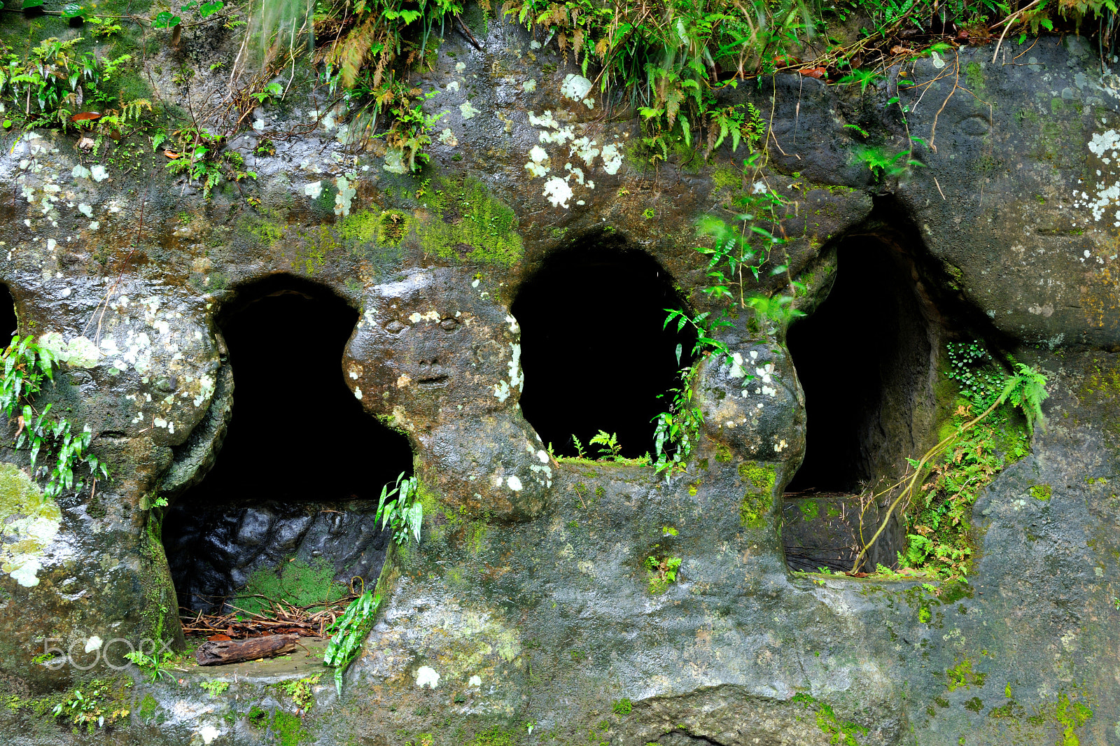 Nikon D3X sample photo. 洞,穴,涼爽,清爽,溪谷 photography