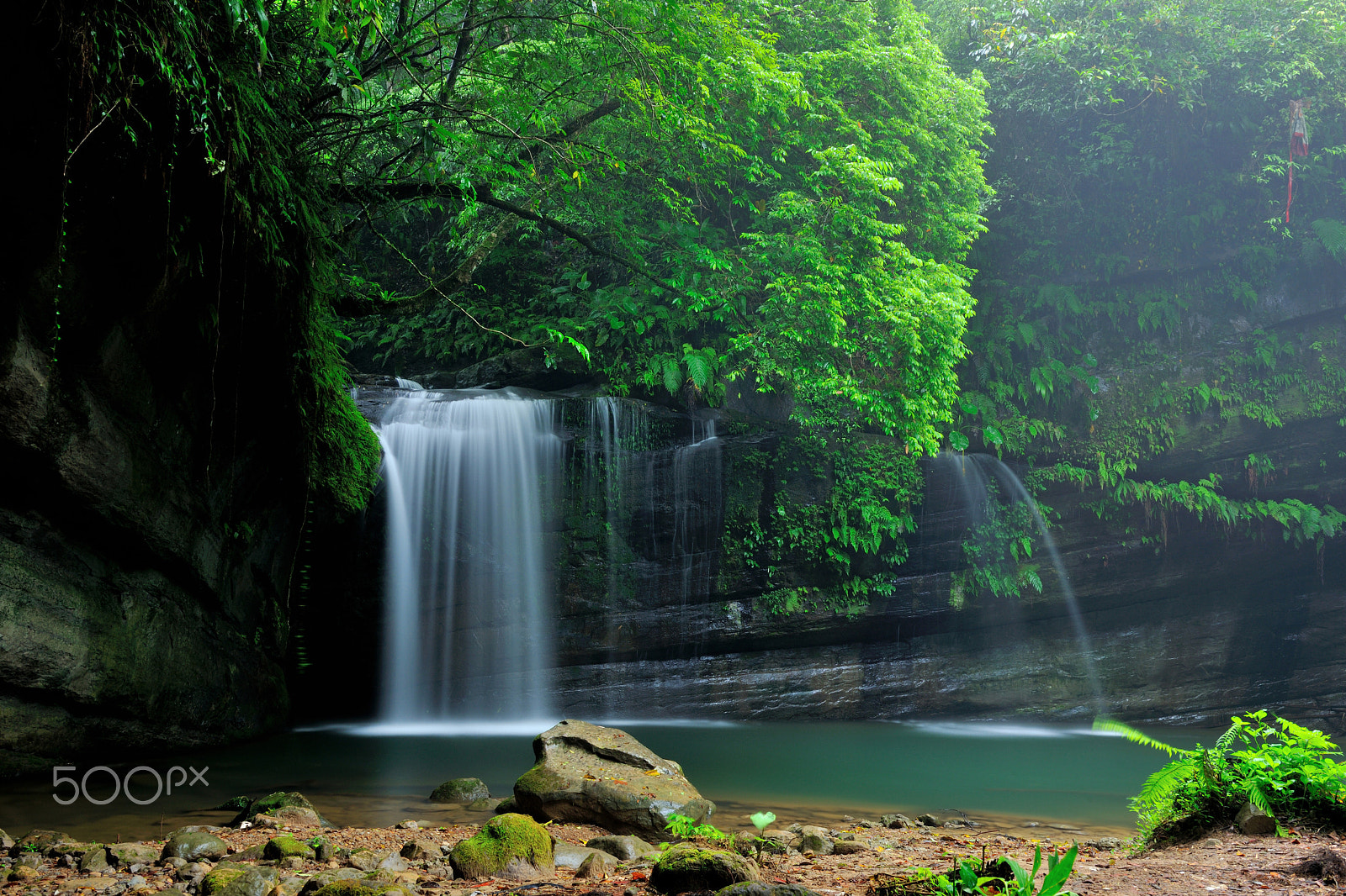 Nikon D3X sample photo. 溪流,瀑布,清涼,涼爽,清爽,溪谷 photography