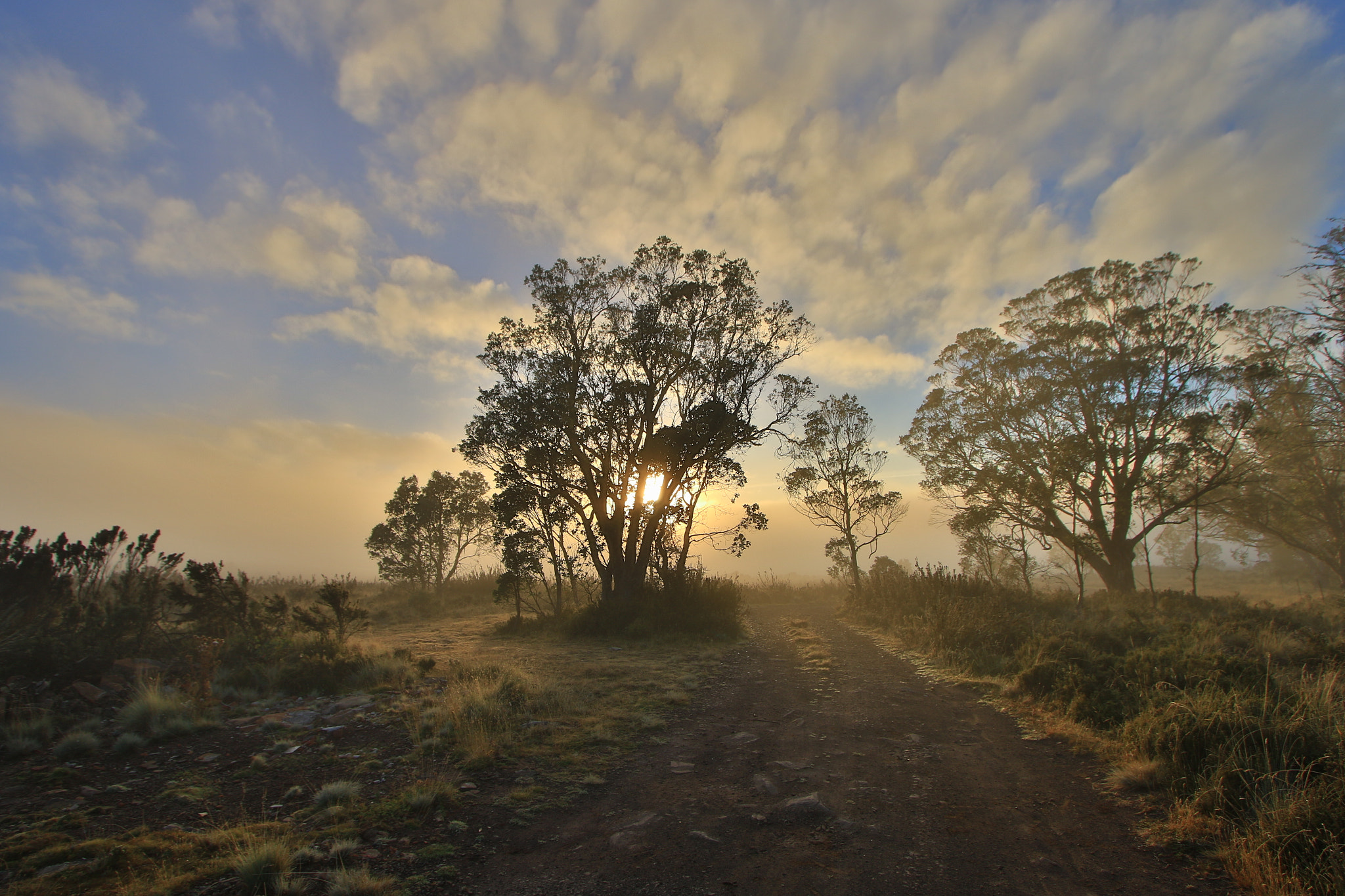 Canon EF-S 10-22mm F3.5-4.5 USM sample photo. Bush sunrise photography