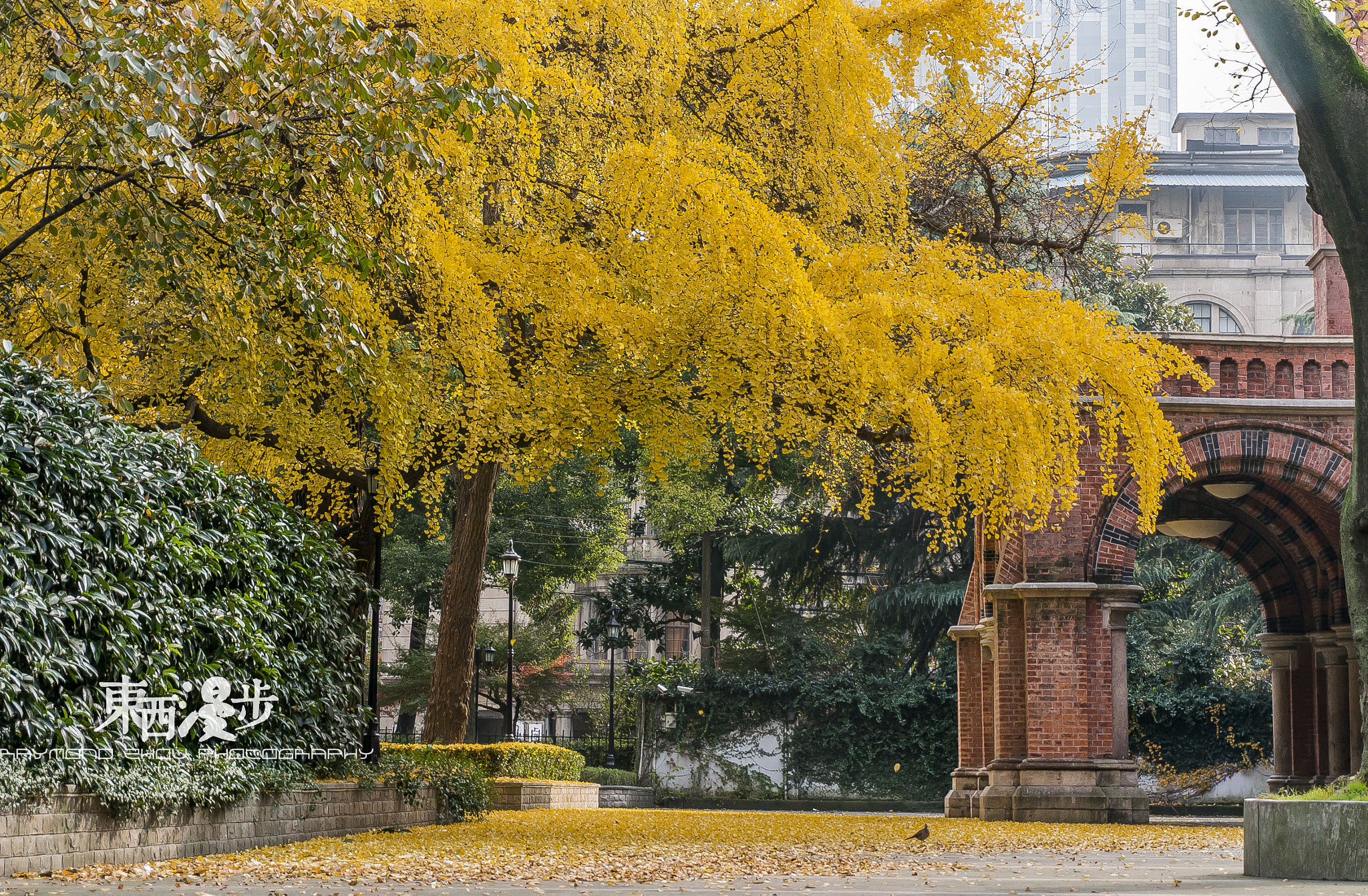 Sony Alpha NEX-5R sample photo. 圣三一堂 photography