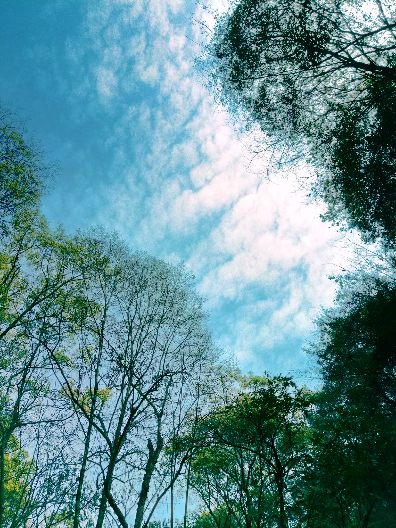 Meizu M5 sample photo. Blue sky photography