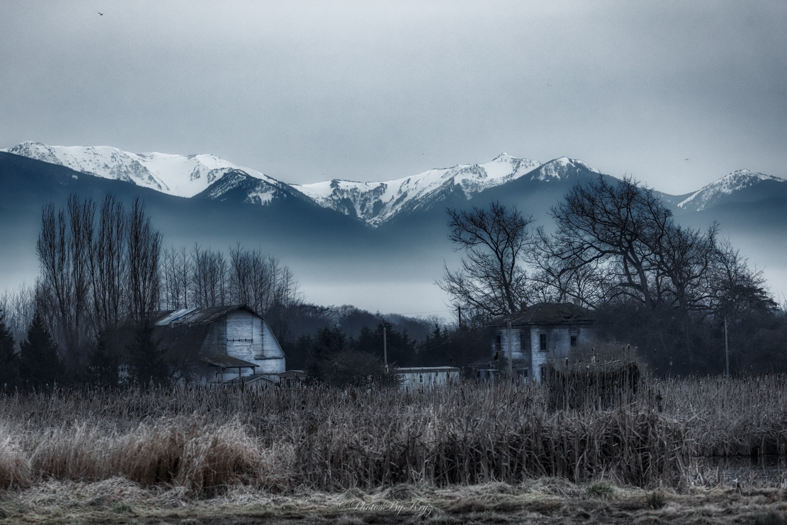 150-600mm F5-6.3 DG OS HSM | Contemporary 015 sample photo. Abandoned places photography