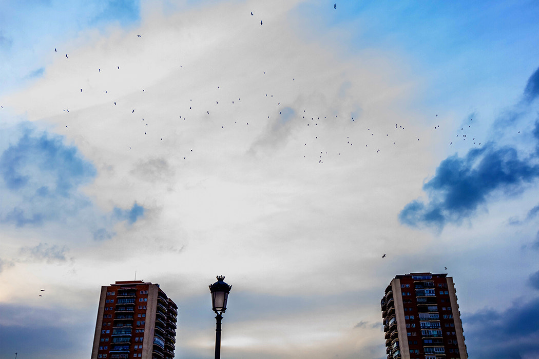 Canon EF-S 10-22mm F3.5-4.5 USM sample photo. City life photography