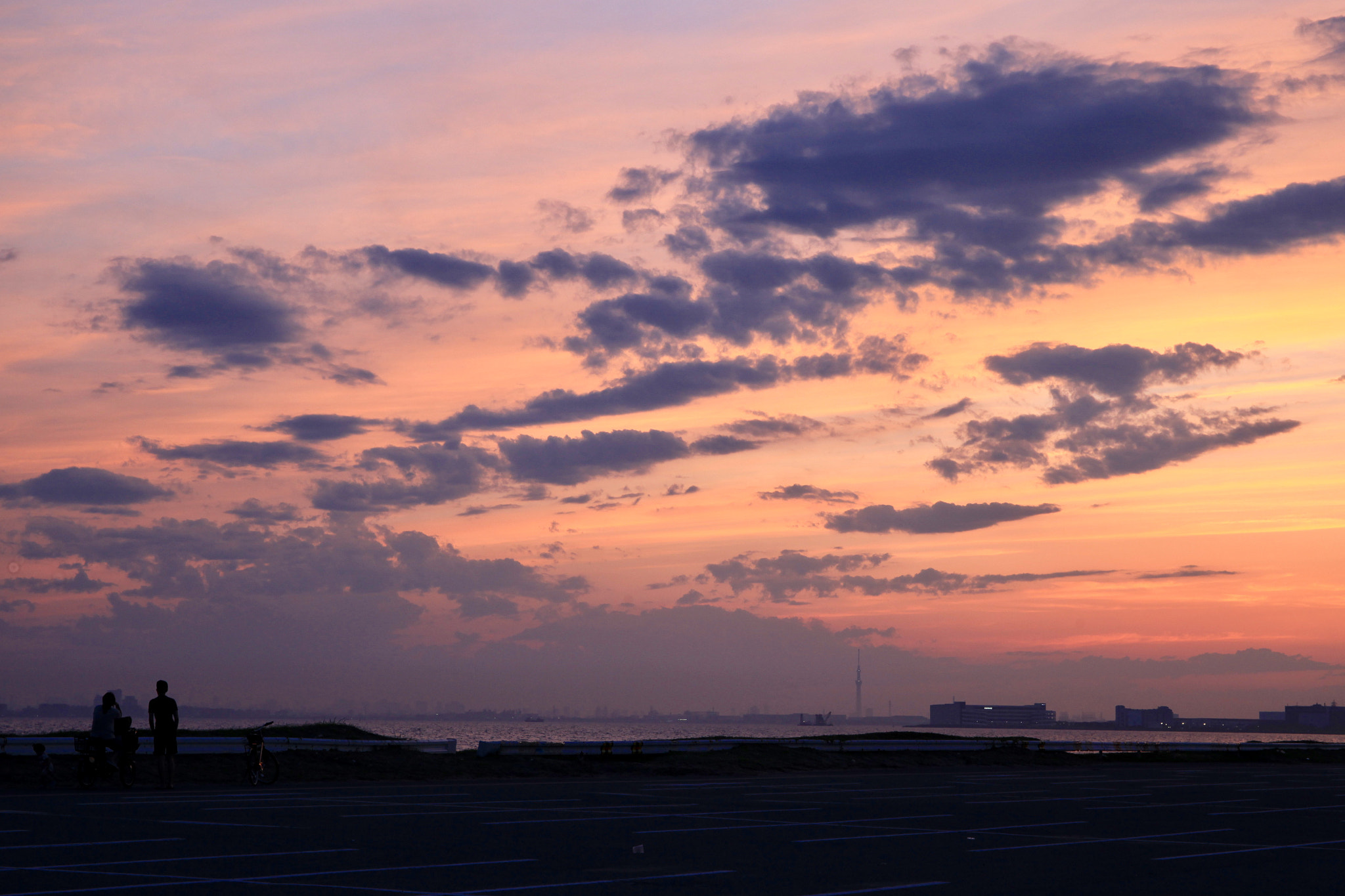 Canon EF 24-70mm F4L IS USM sample photo. Tokyo bay photography