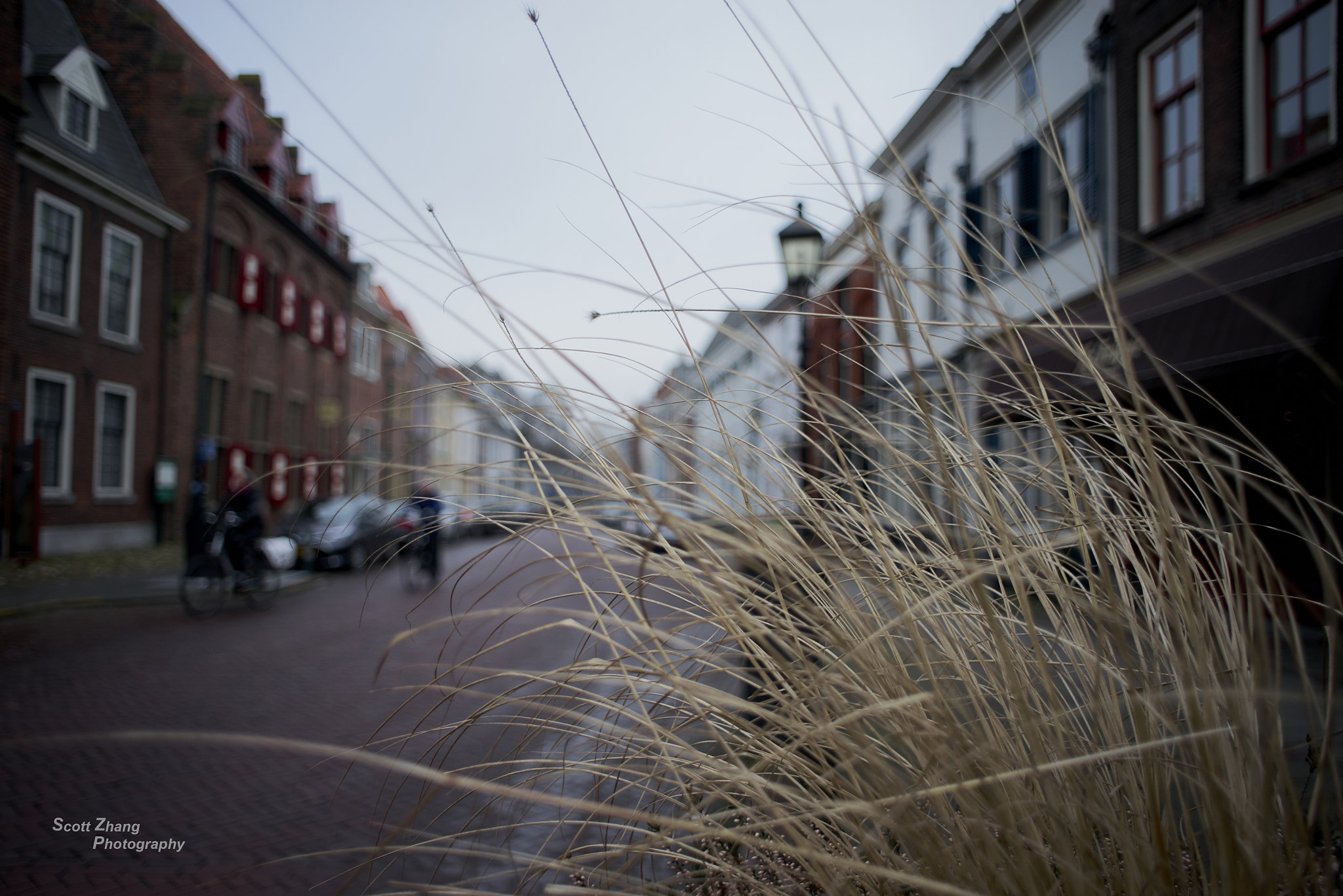 24mm F2.8 sample photo. A breeze day at street in old town. photography