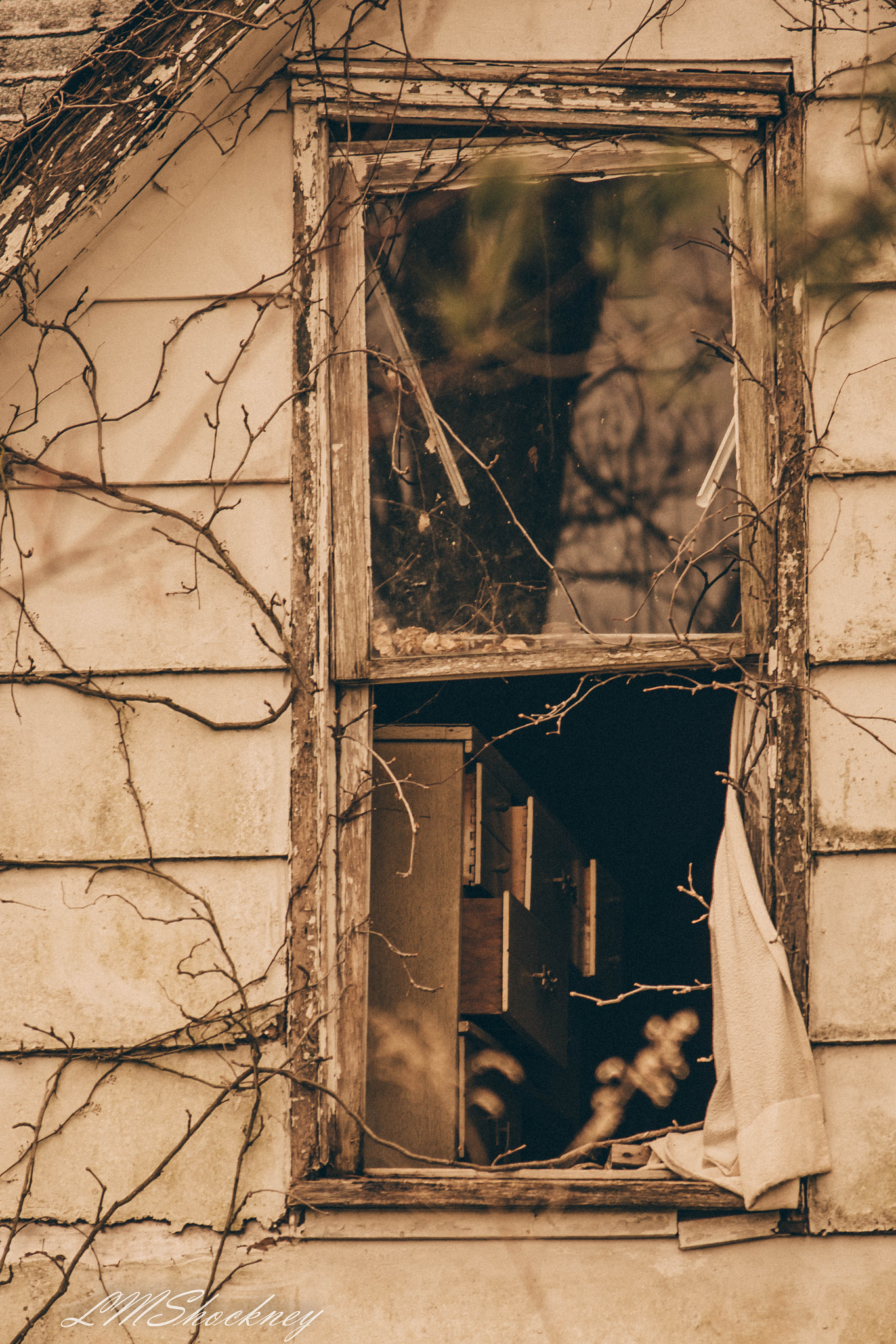 Nikon D7200 sample photo. Southern indiana backroads photography