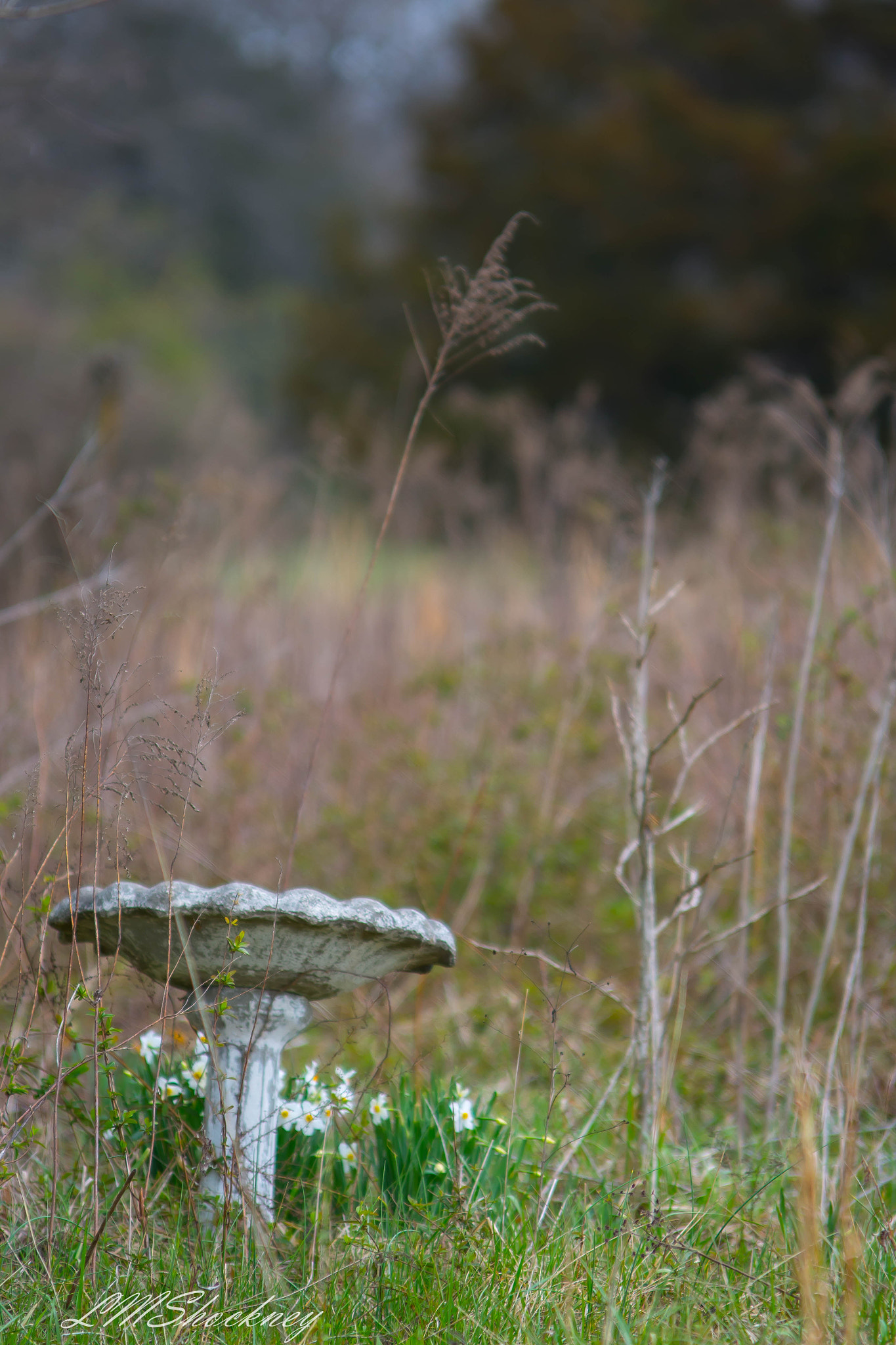 Nikon D7200 sample photo. Southern indiana backroads photography