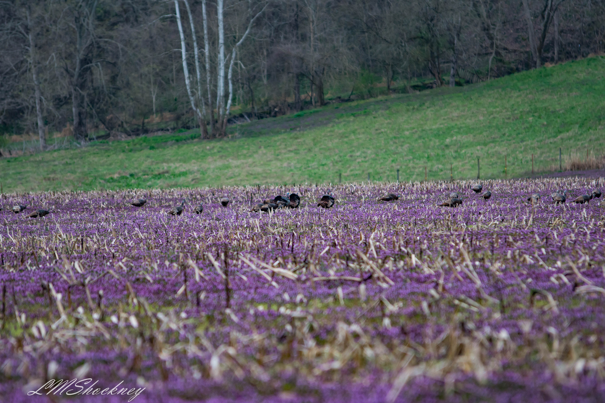 Nikon D7200 sample photo. Southern indiana backroads photography