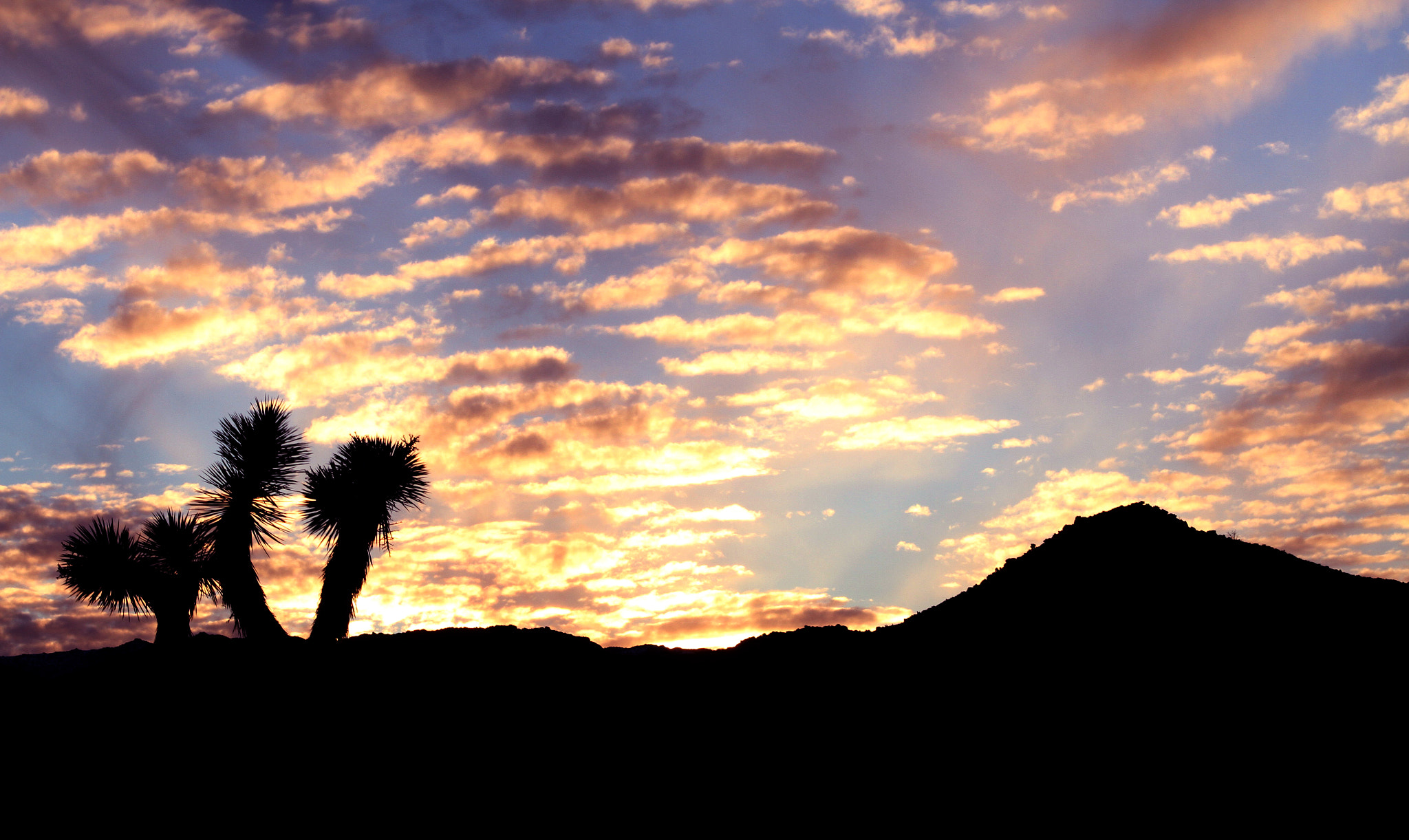 Canon EOS 7D + EF75-300mm f/4-5.6 sample photo. Sunset in the desert photography