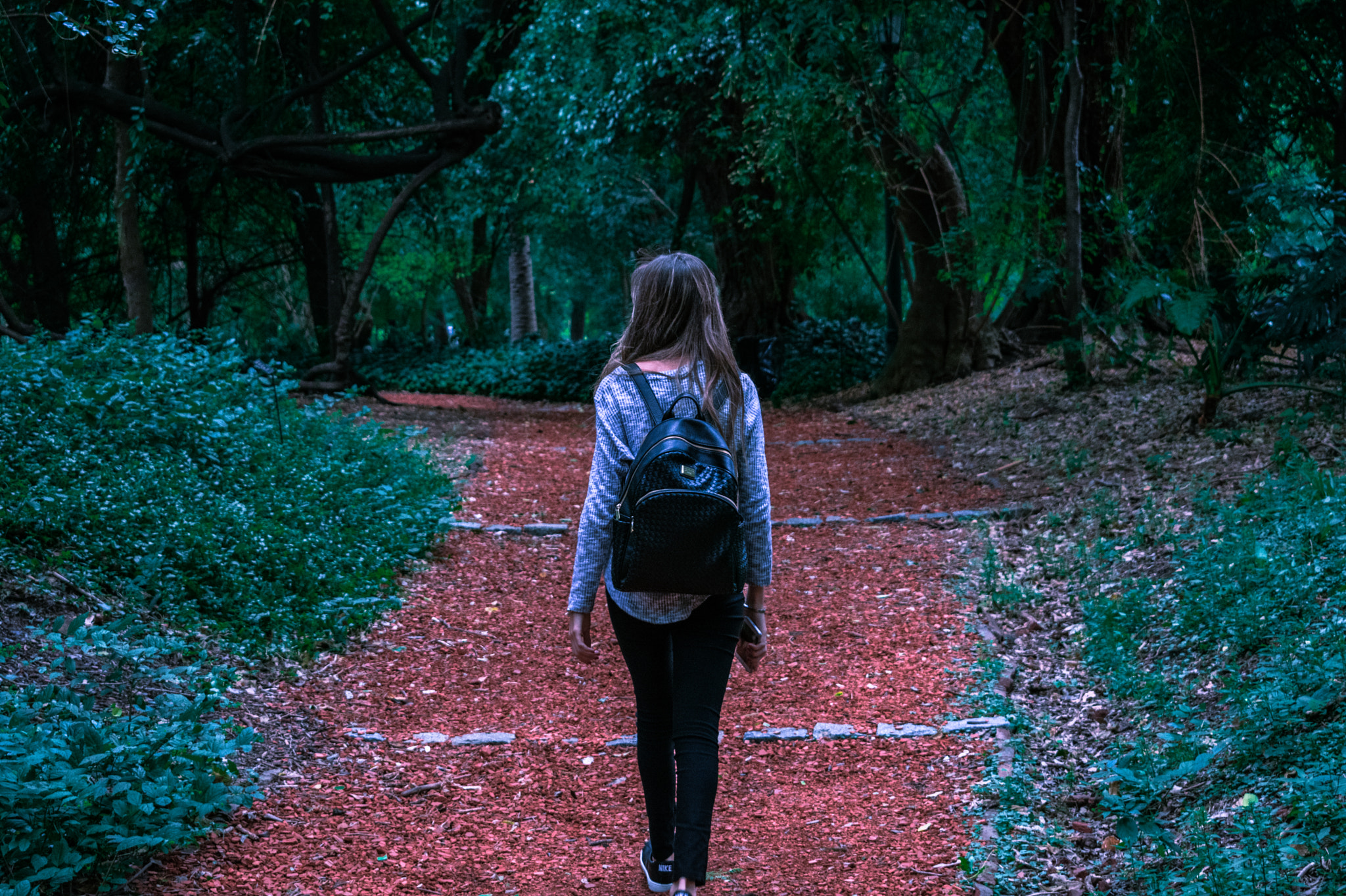 Nikon D3400 sample photo. Mistery photography