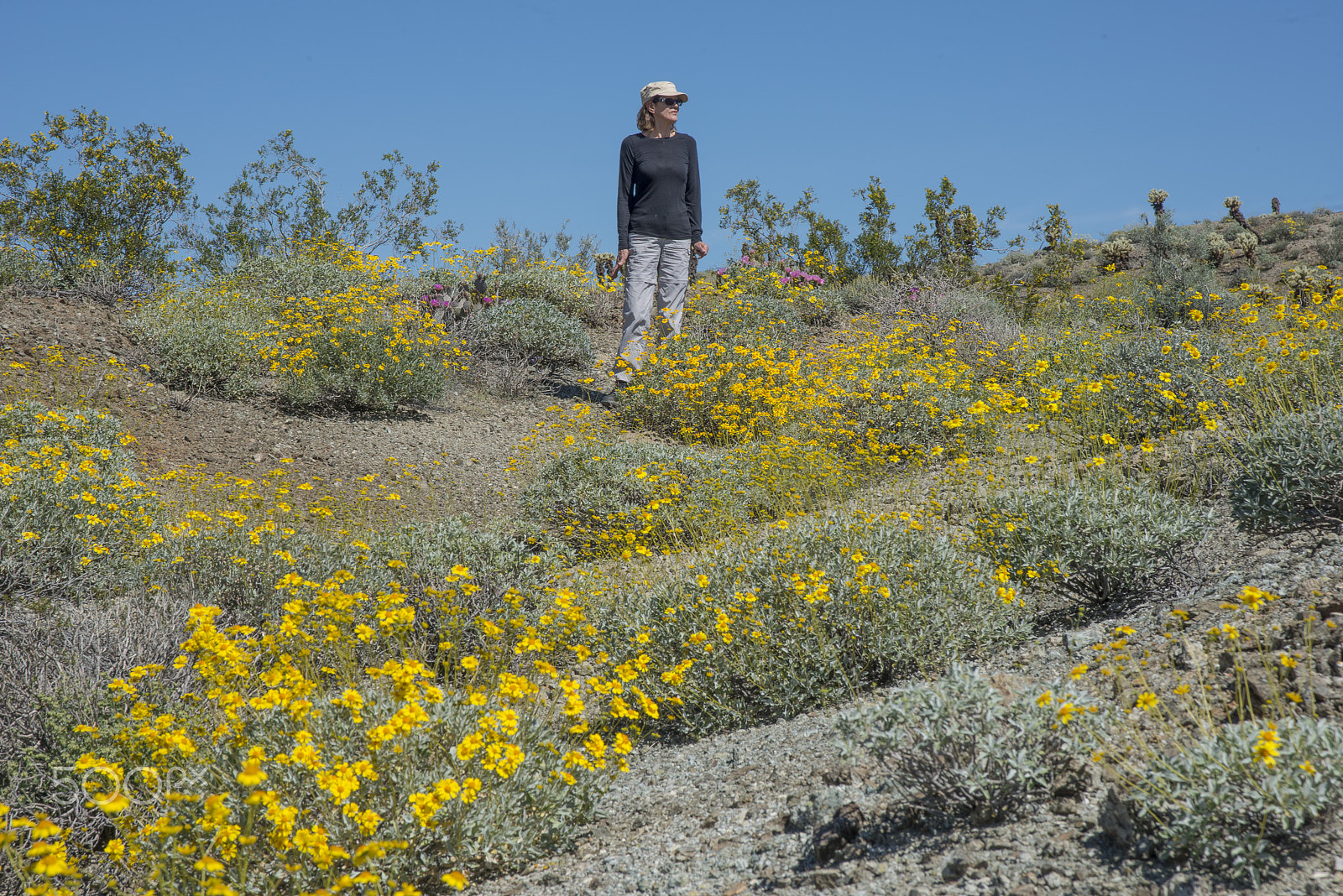 AF Zoom-Nikkor 28-105mm f/3.5-4.5D IF sample photo. Mohave spring photography