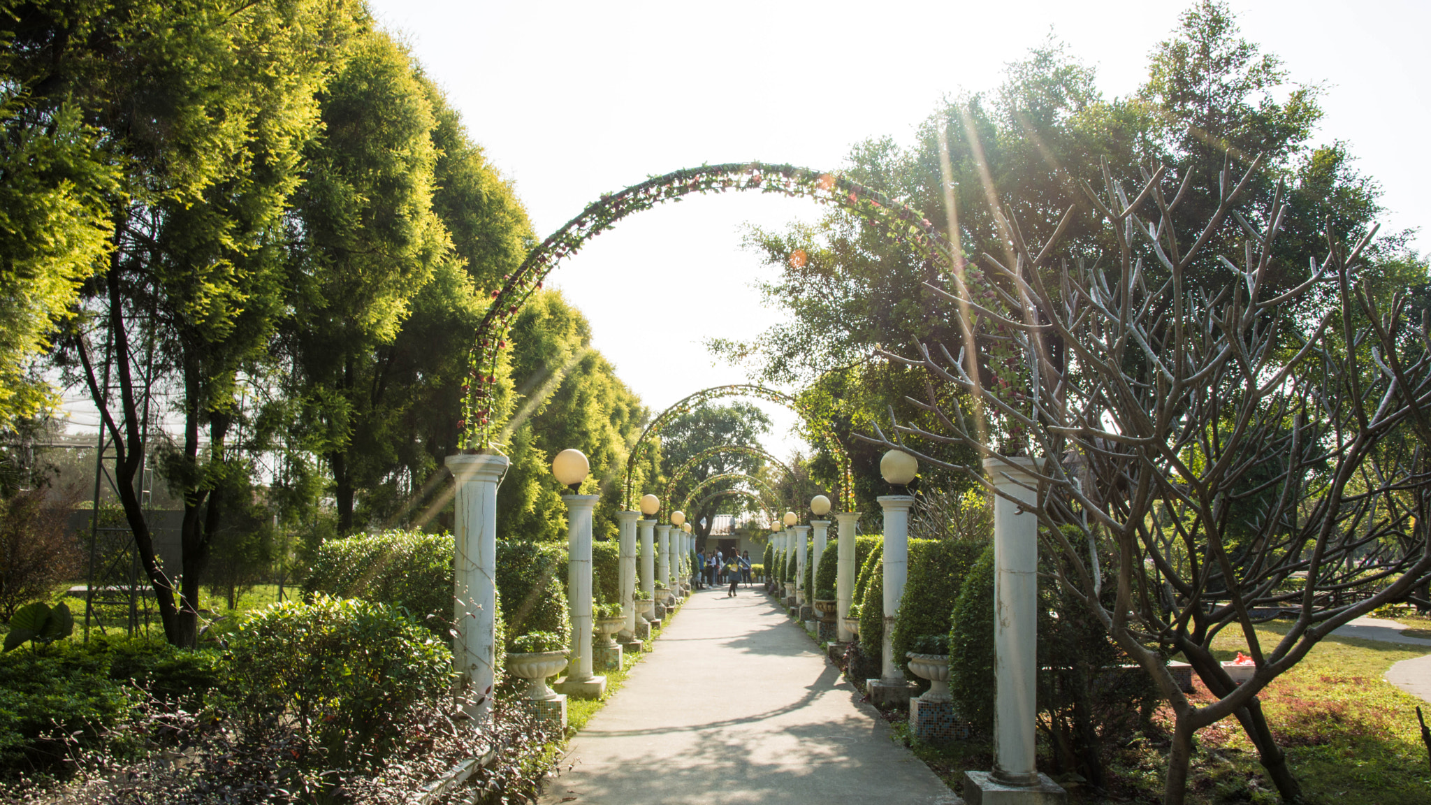 Nikon D7100 sample photo