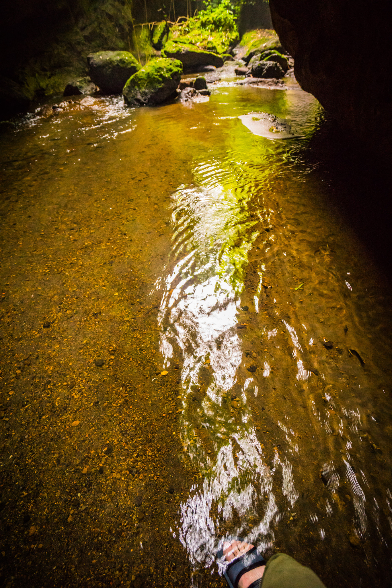 Sony a7R + Sony Vario-Tessar T* FE 16-35mm F4 ZA OSS sample photo. The secret gardens of sambangan photography