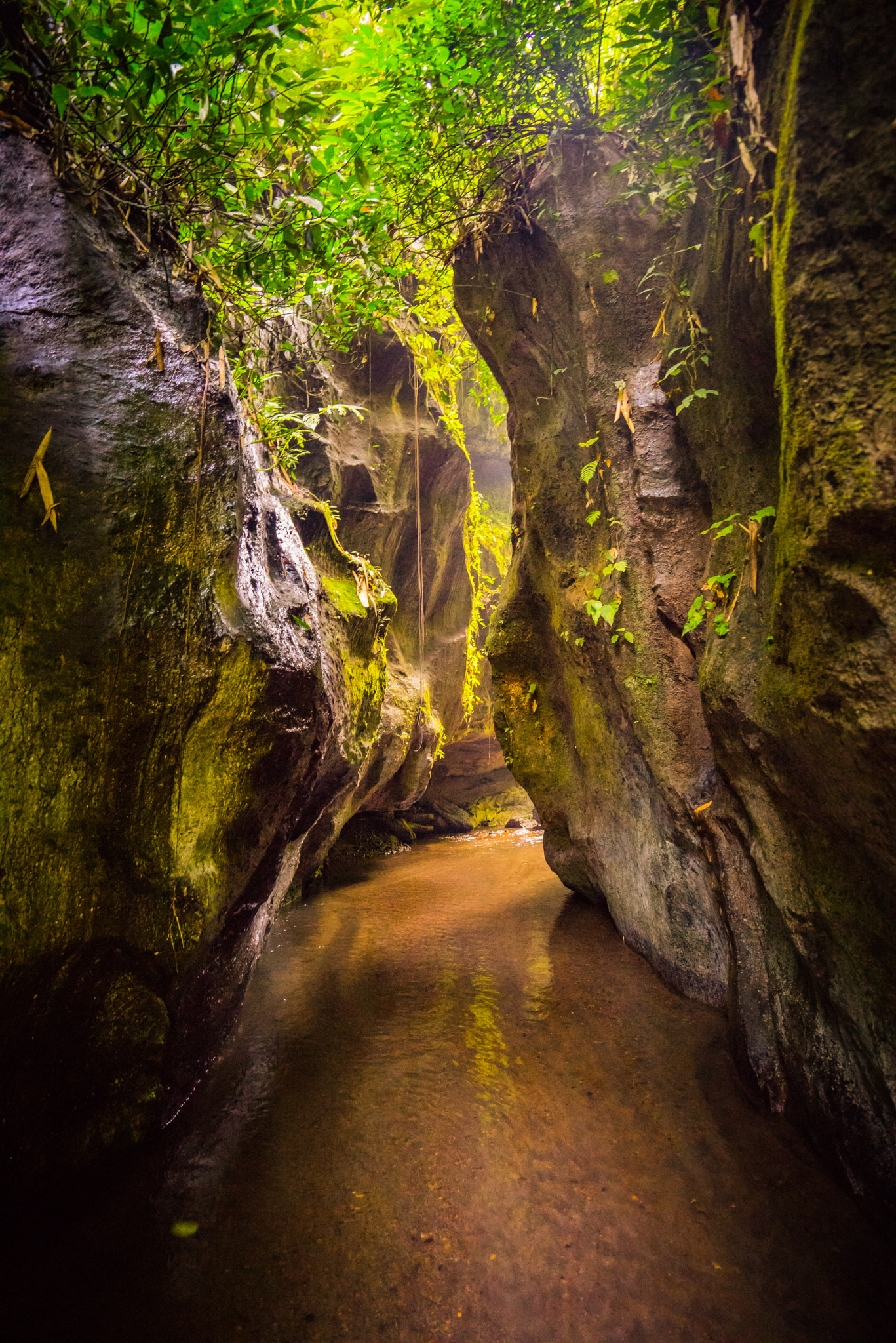 Sony a7R + Sony Vario-Tessar T* FE 16-35mm F4 ZA OSS sample photo. The secret gardens of sambangan photography