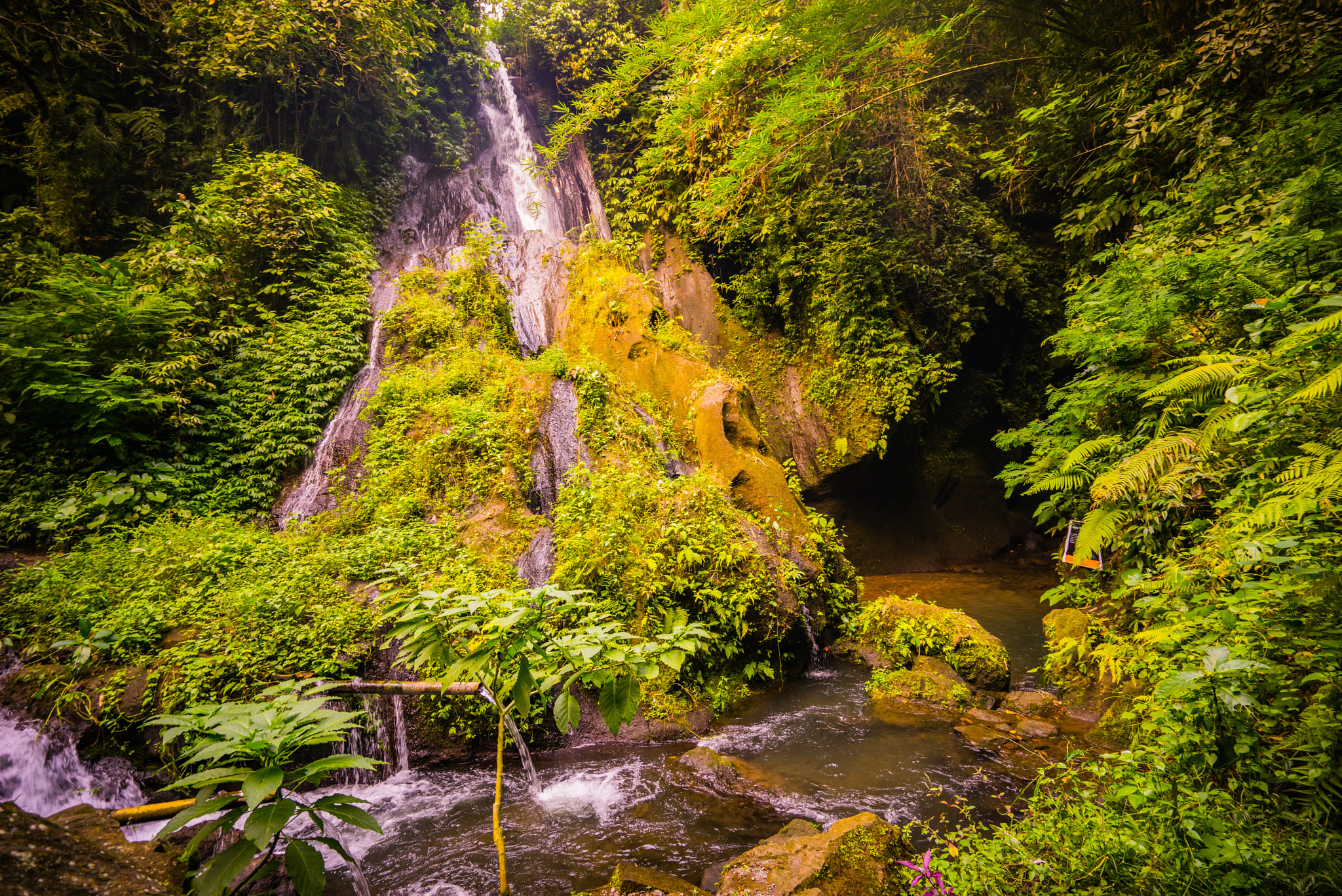 Sony a7R + Sony Vario-Tessar T* FE 16-35mm F4 ZA OSS sample photo. The secret gardens of sambangan photography